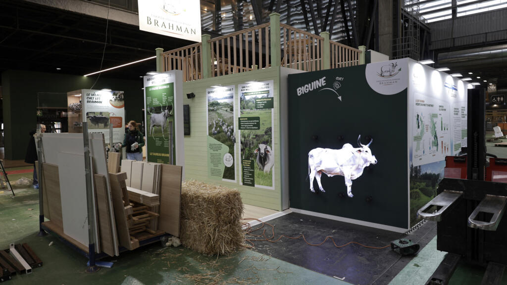 Paris Agriculture Fair opens without cows for first time due to disease fears