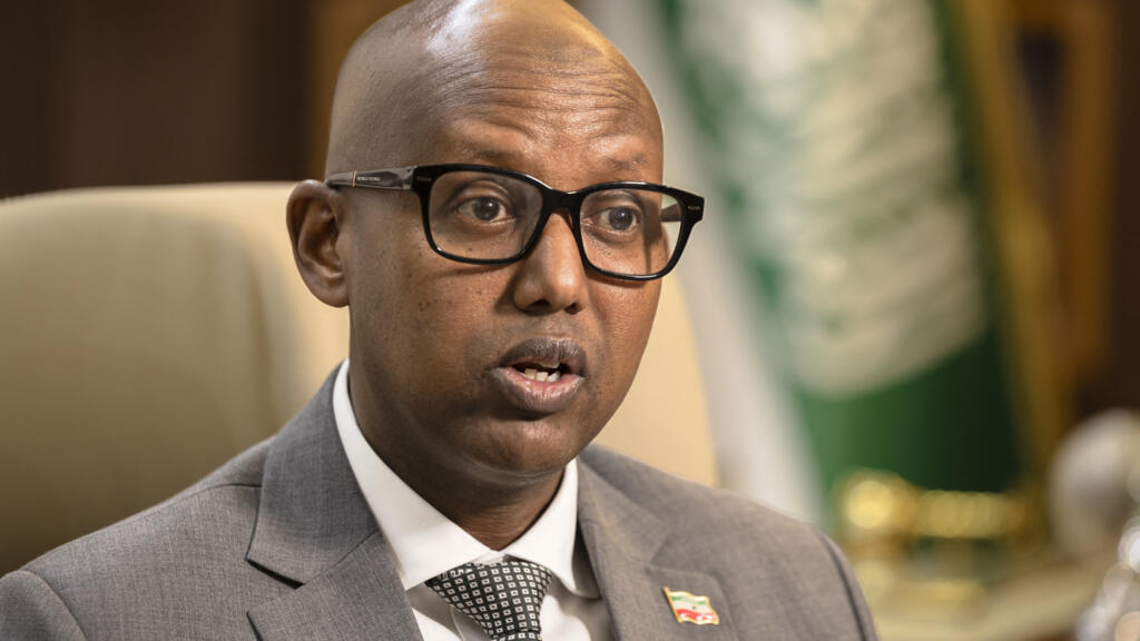 Somaliland willing to give US access to minerals and military bases, says minister
