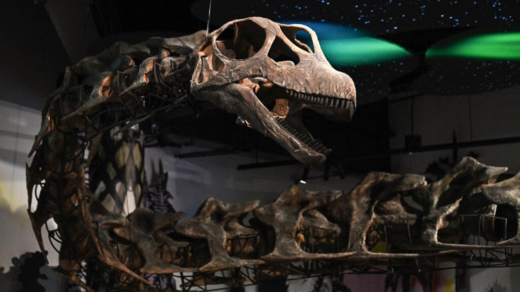 Colossal dinosaur unearthed in Thailand weighs as much as nine elephants