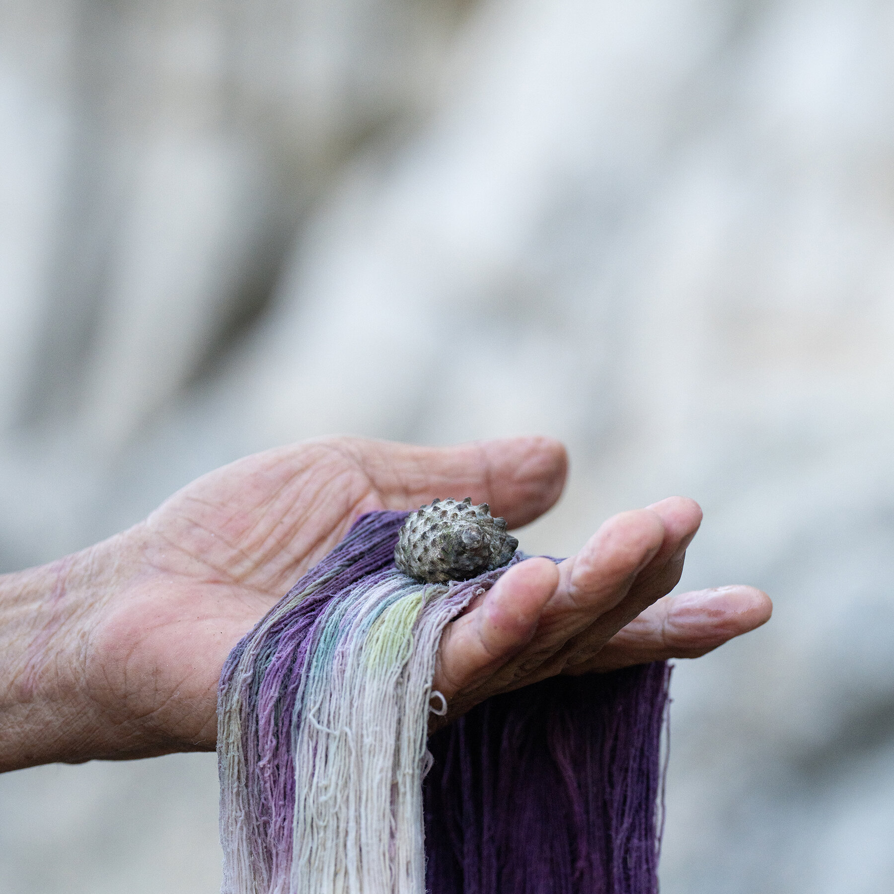 What’s in a Name? For These Snails, Legal Protection