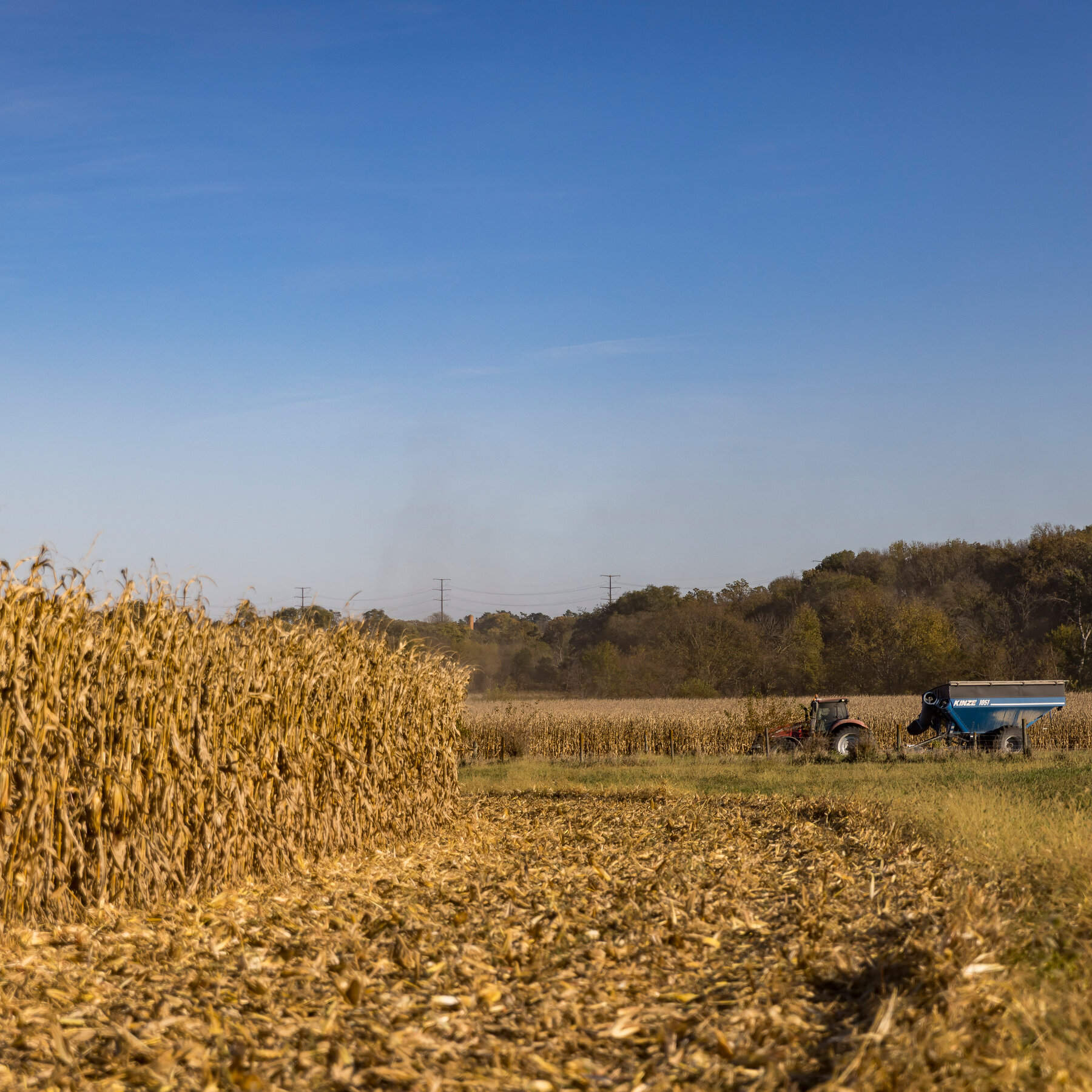 Crop Undercount Raises Questions About Reliability of U.S.D.A. Data