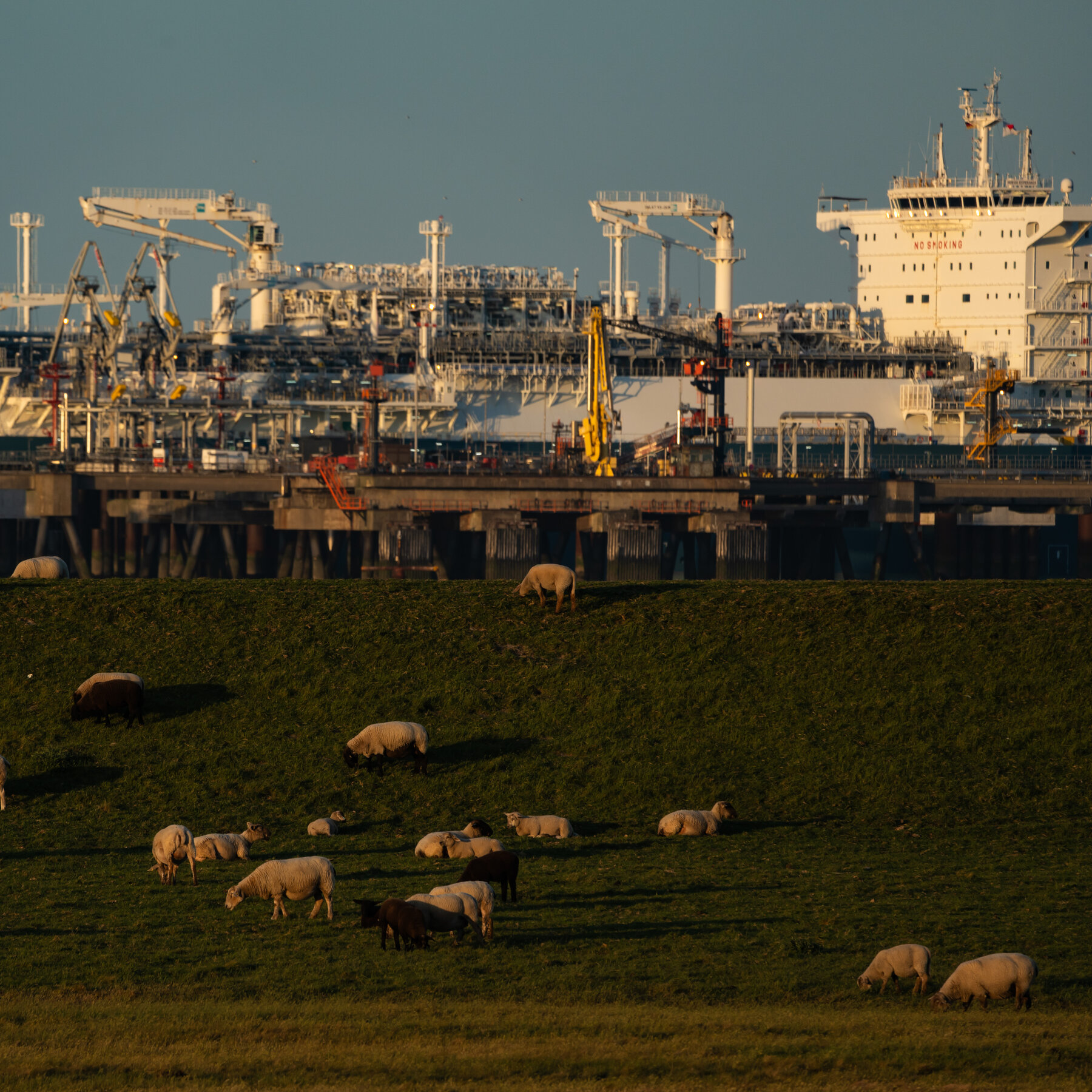 Fallout of War Piles Economic Pain Onto Europe’s Political Stress