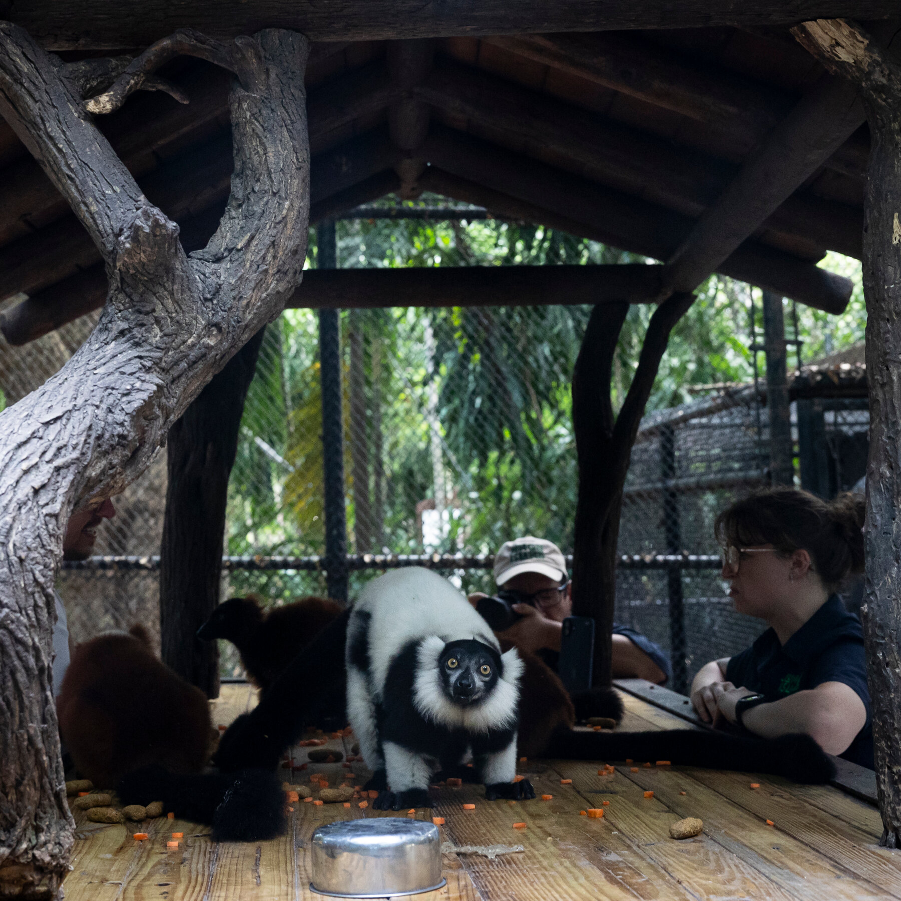A Wildlife Regulator’s Family Business Had a Permit to Renew. She Stepped In.