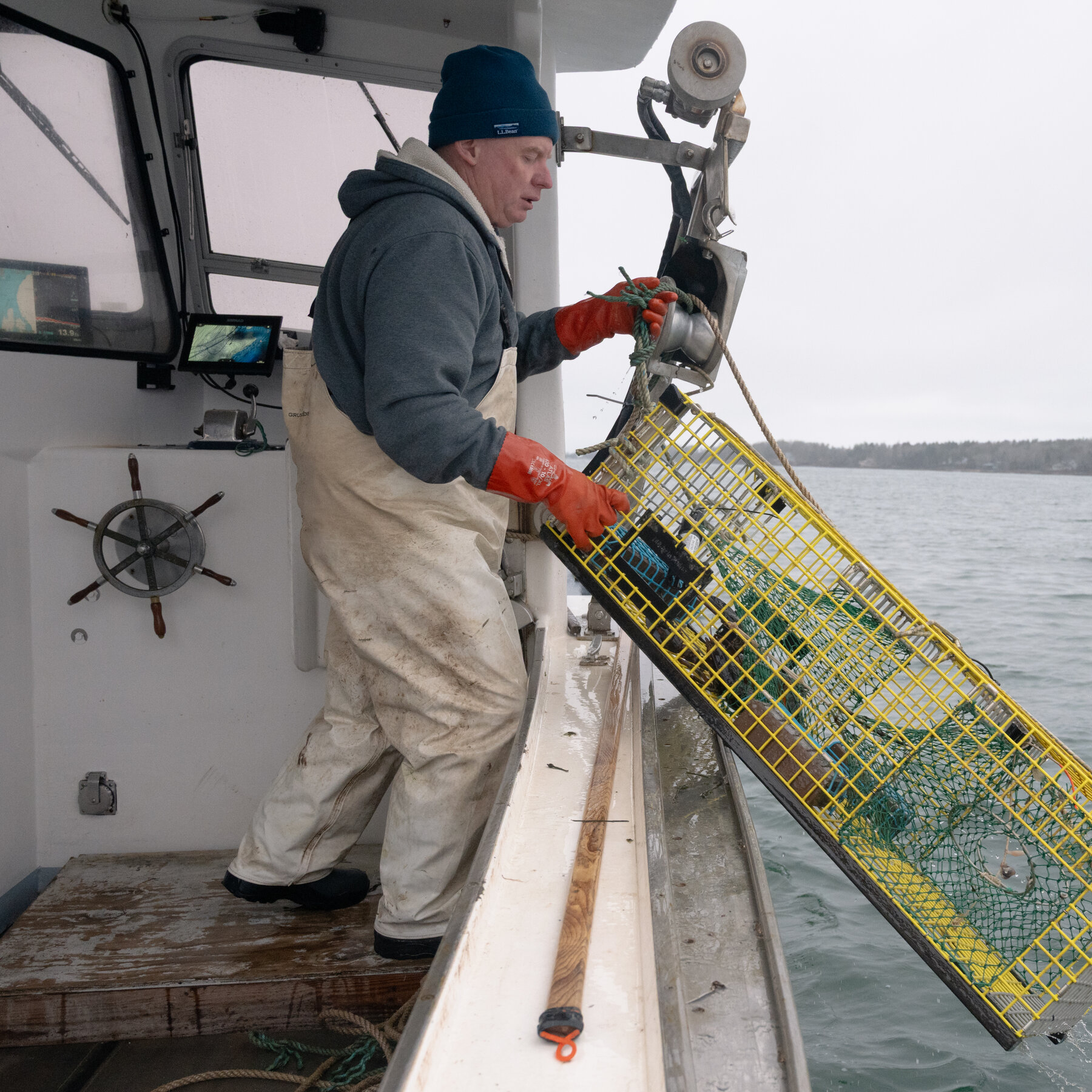 In New England, Catching Climate Data Along With Fish