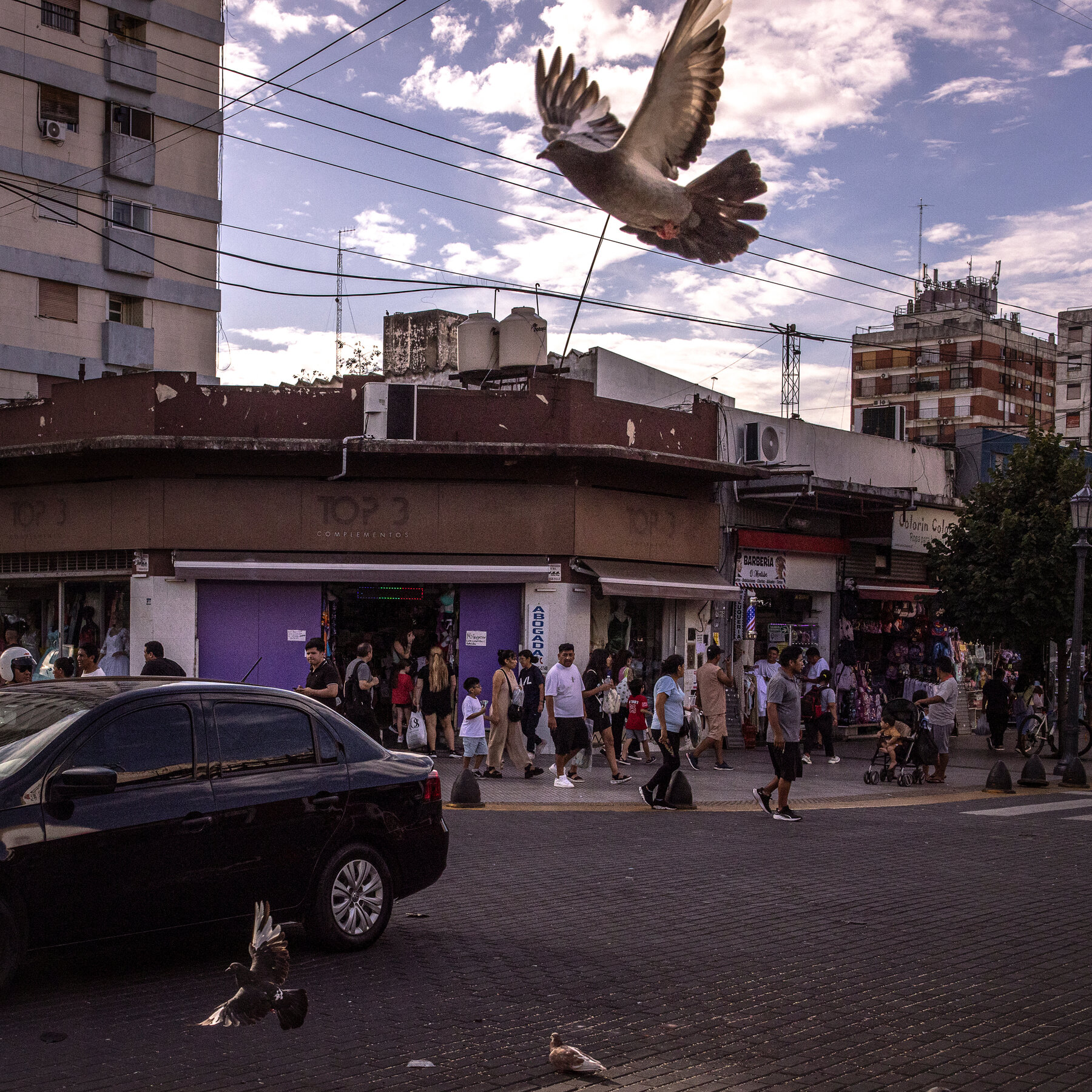 How Immigration Became an Issue in Argentina