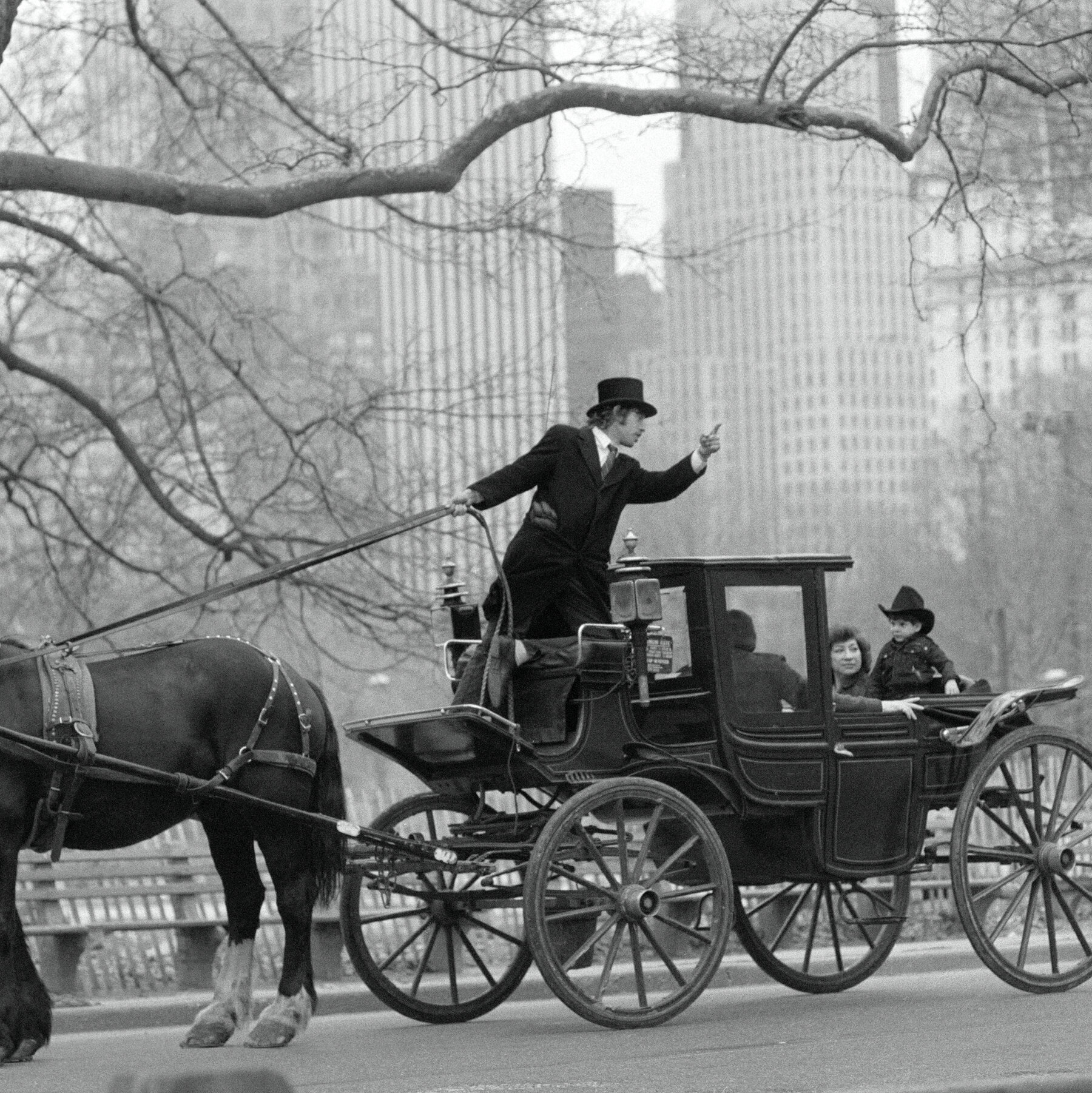 The History of the Carriage Horses in Central Park