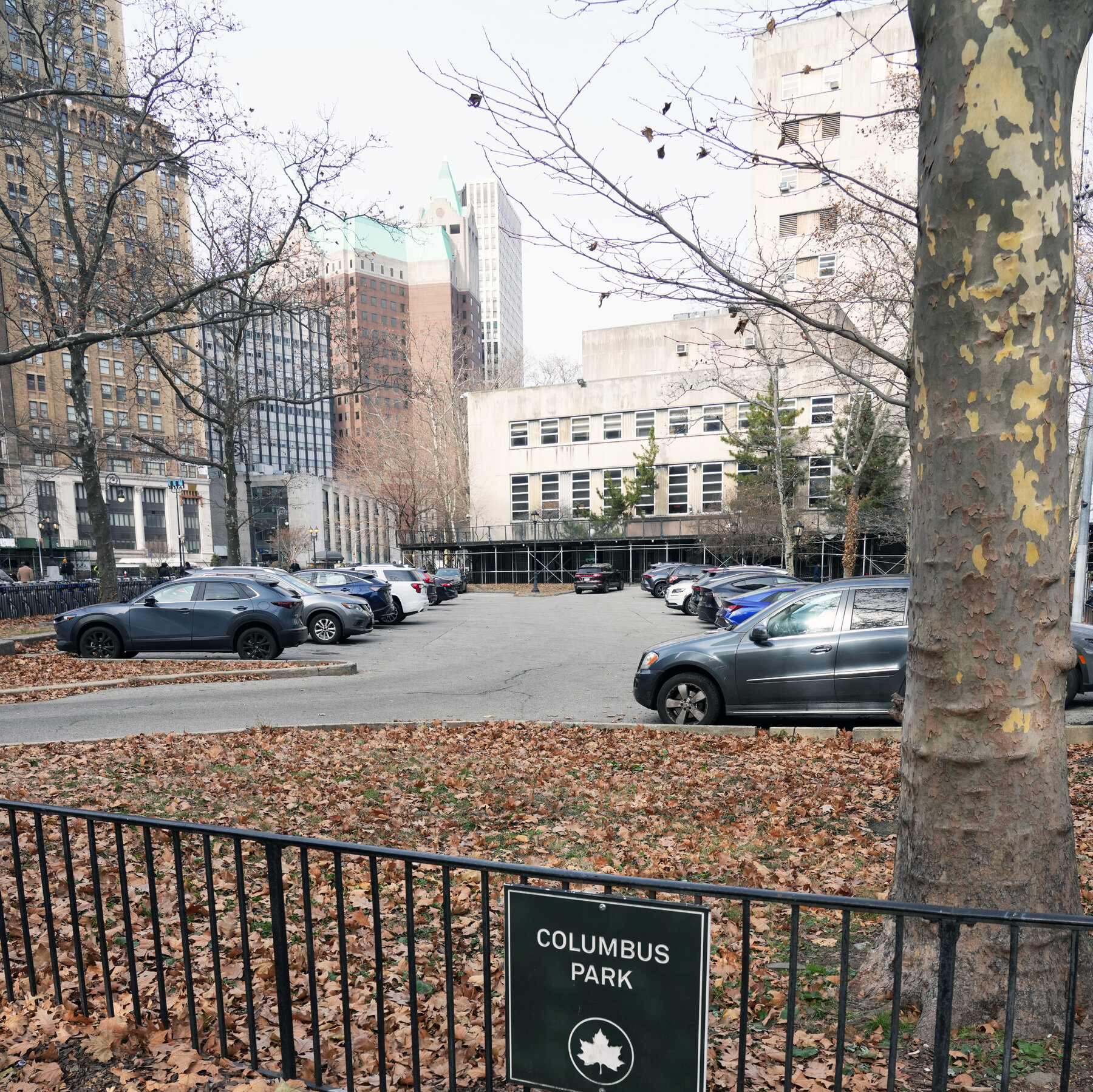 A Parking Dispute Where the Judges Aren’t Exactly Impartial