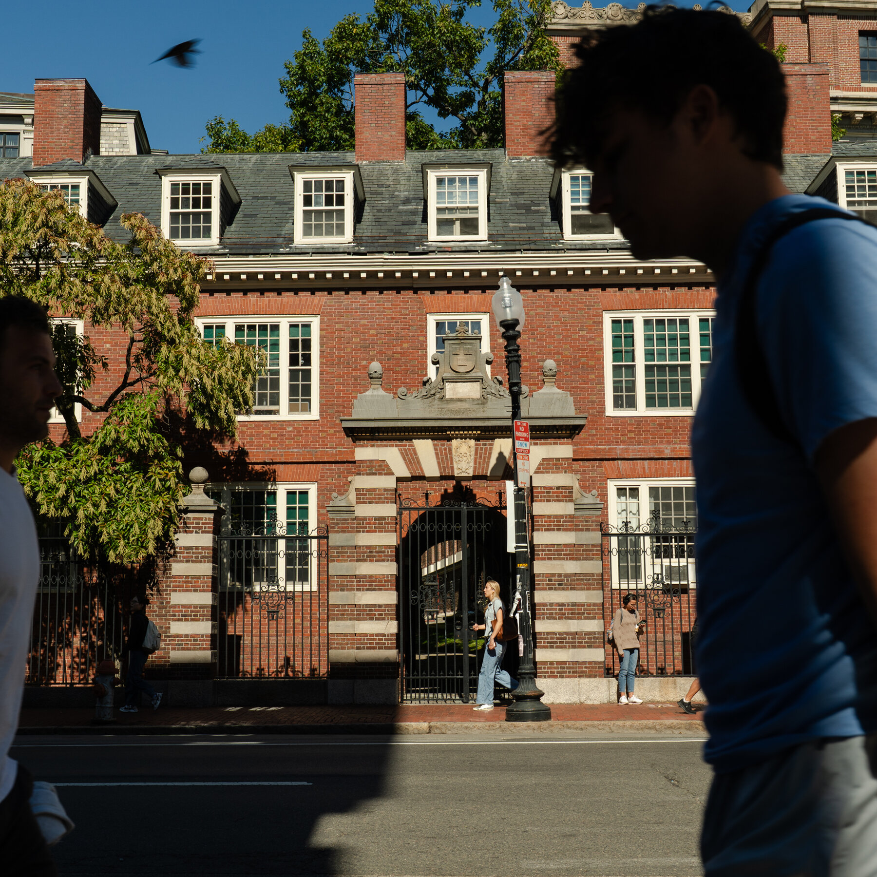 Harvard Has Identified Another Problem: Its Own Students