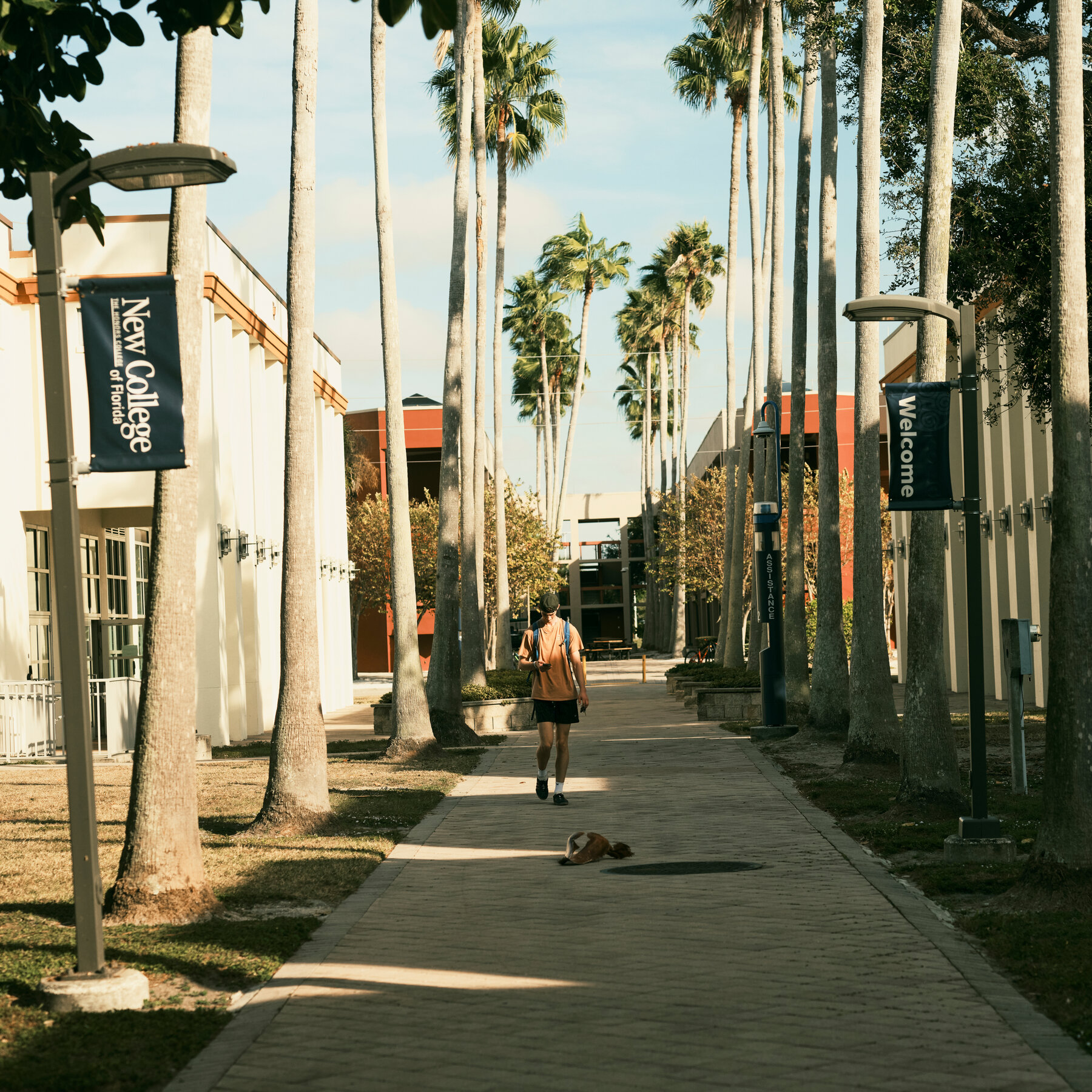 New College of Florida Was Progressive. Then Gov. DeSantis Overhauled It.