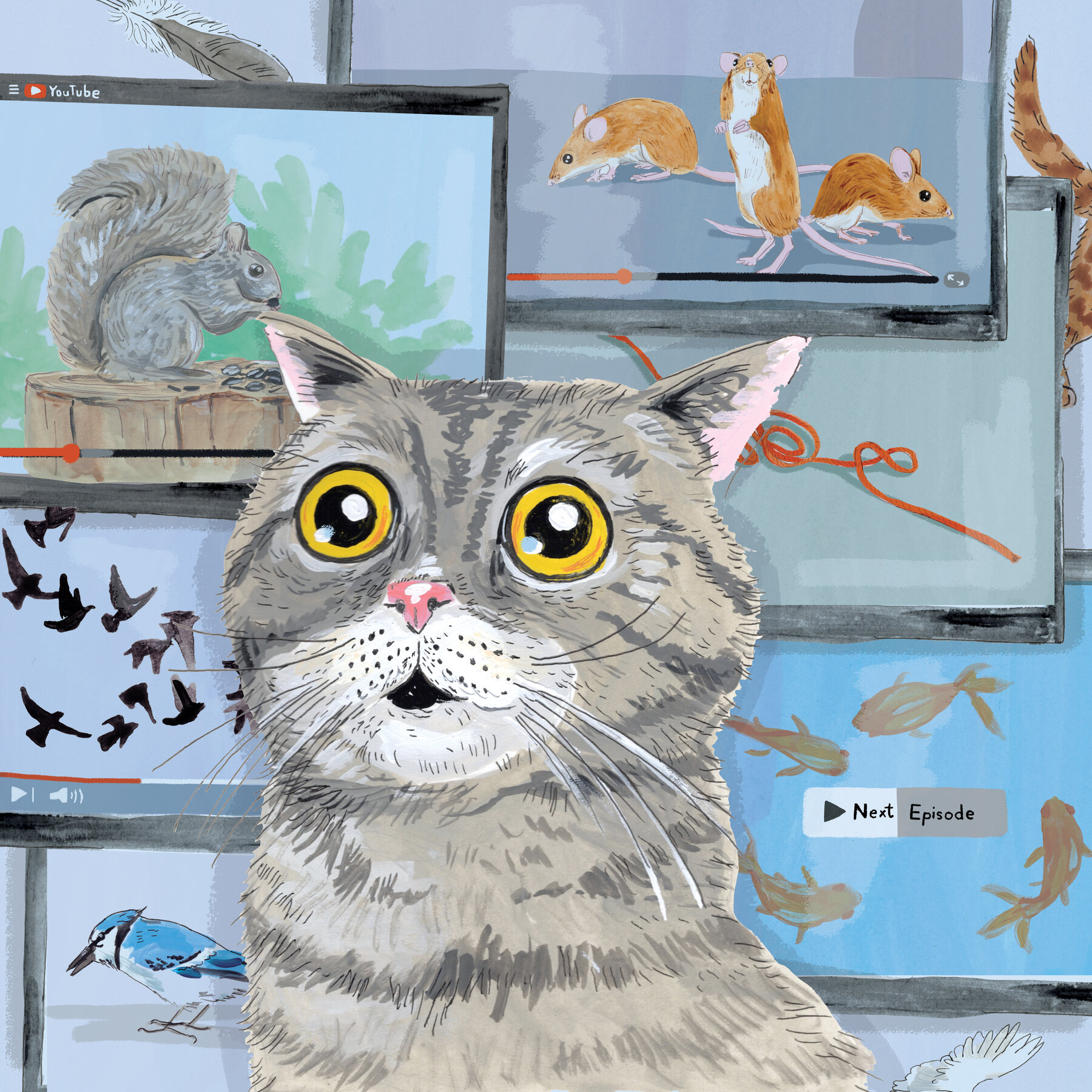 TV, It’s Not Just for Humans Anymore