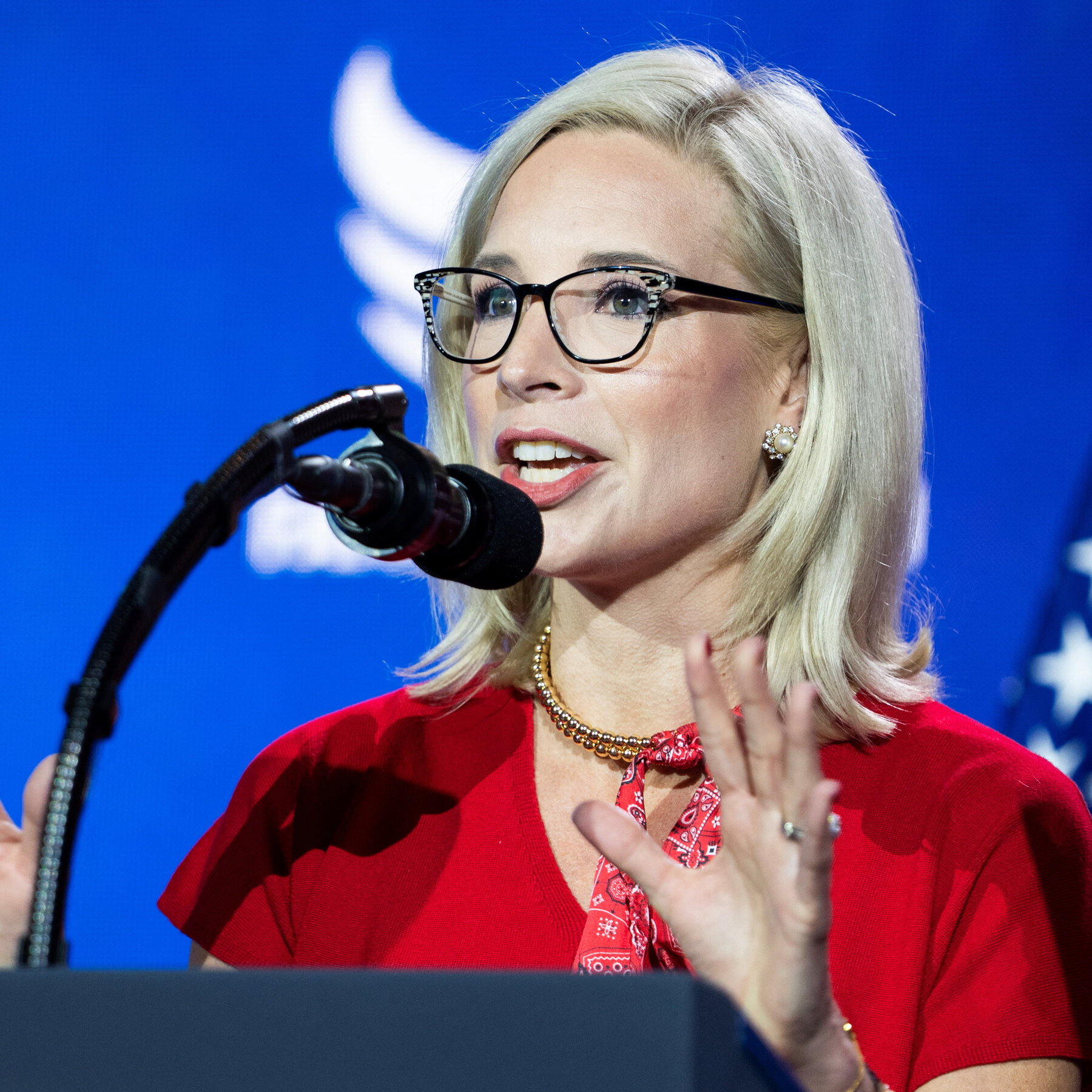 Republicans’ Home-Field Edge for Senate Seems Just Enough for Now