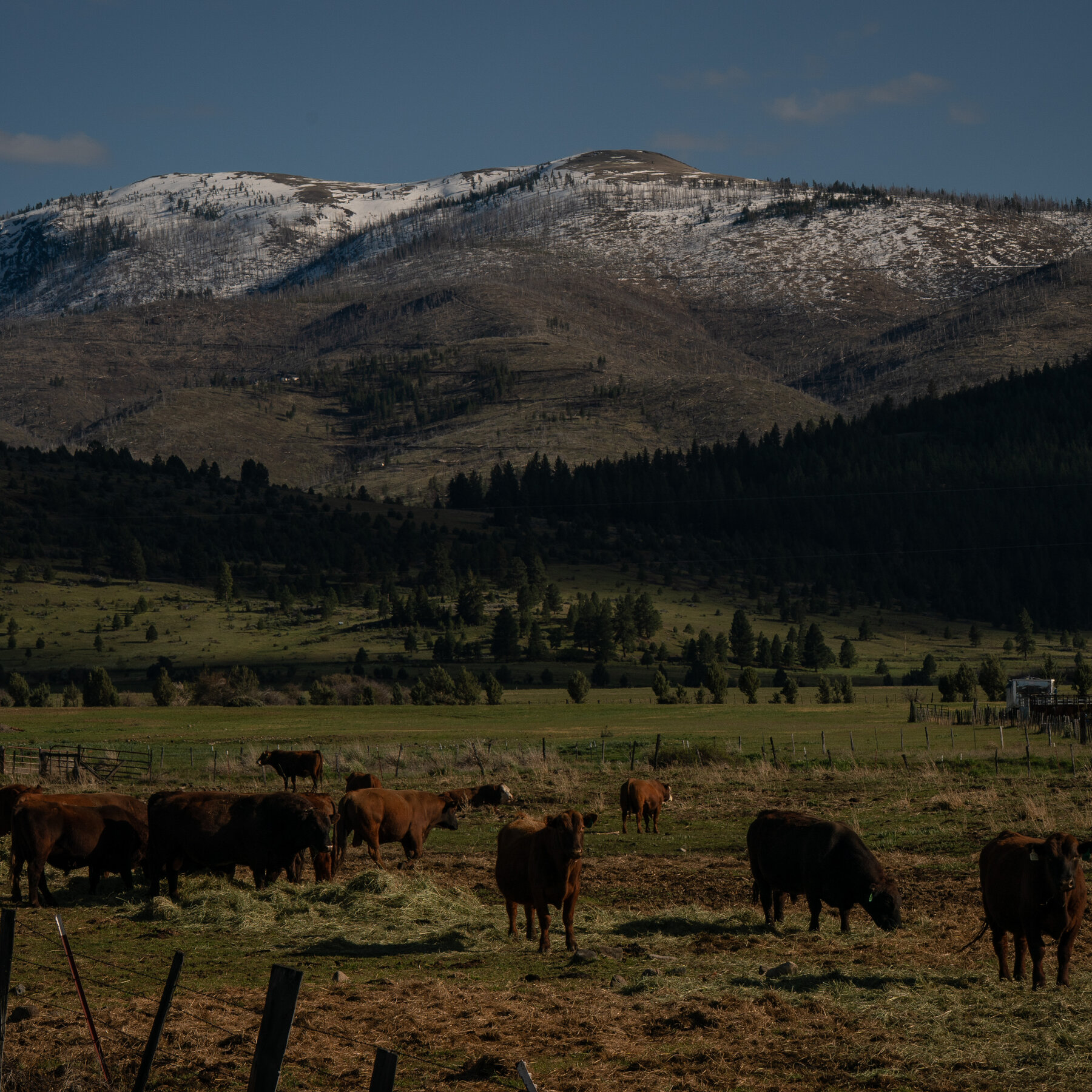 Oregon Prepares for a Challenging Summer of Water Shortages and High Fire Risk