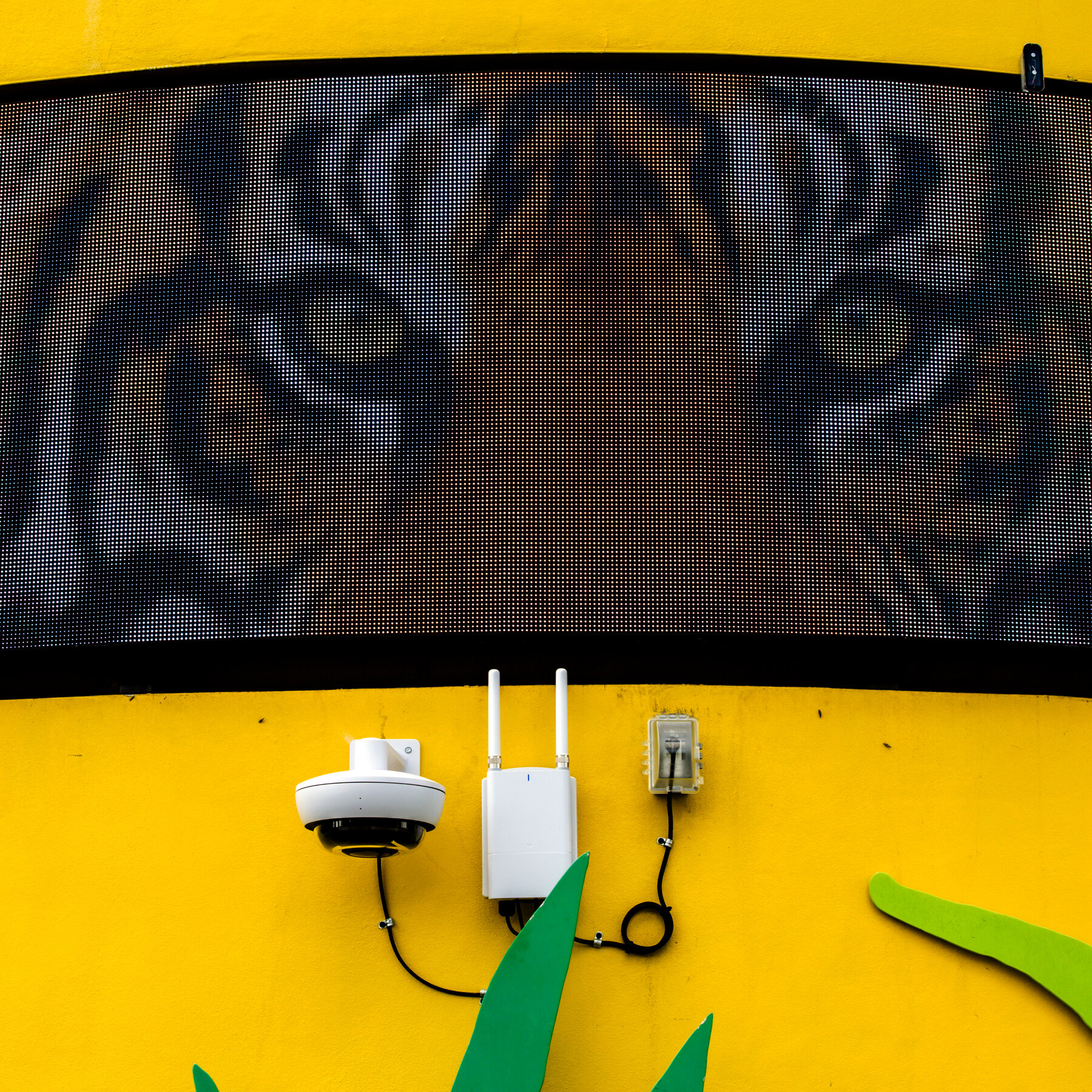 Lions, Tigers and Bomb-Sniffing Dogs: Zoos Face Scores of Swatting Calls