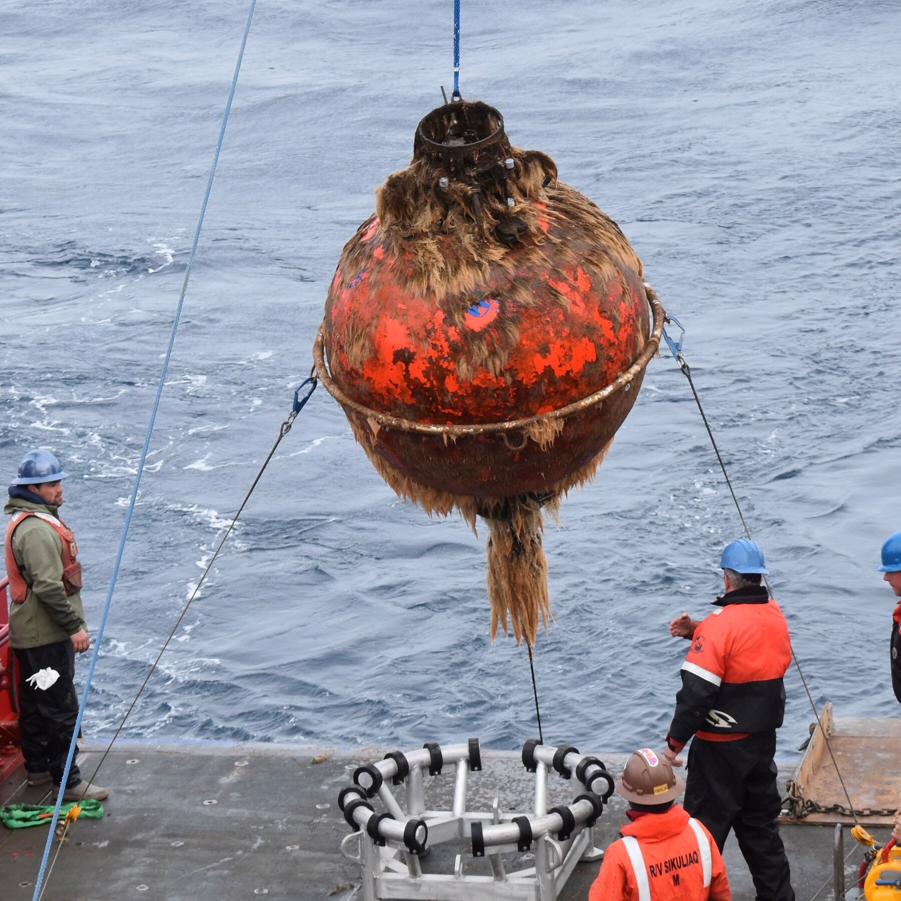 Trump Administration to Dismantle Ocean Monitoring System