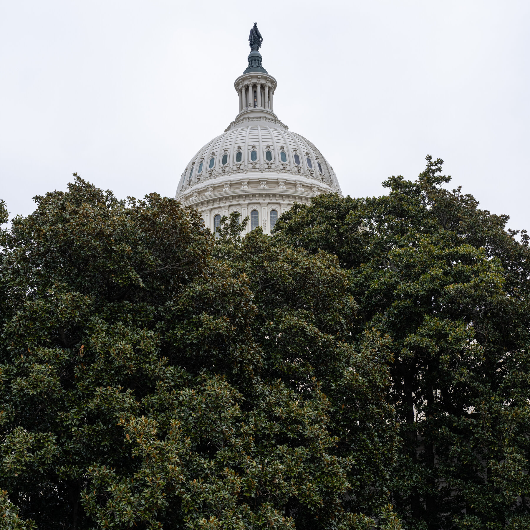 In Trump’s Second Year, Congress Weighs How to Reassert Its Power