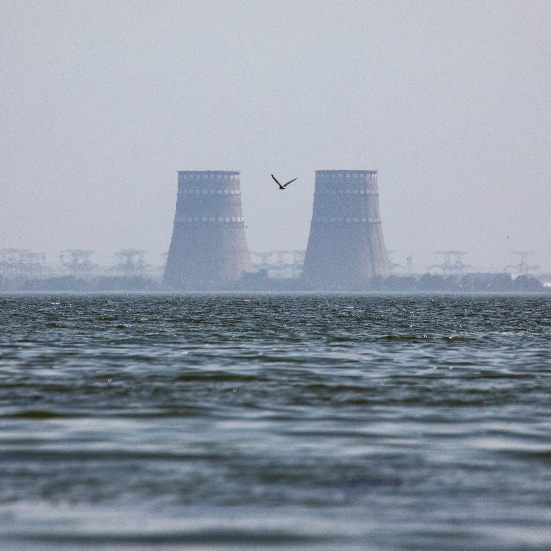 Why a Nuclear Plant Is a Big Sticking Point in the Ukraine Peace Plan