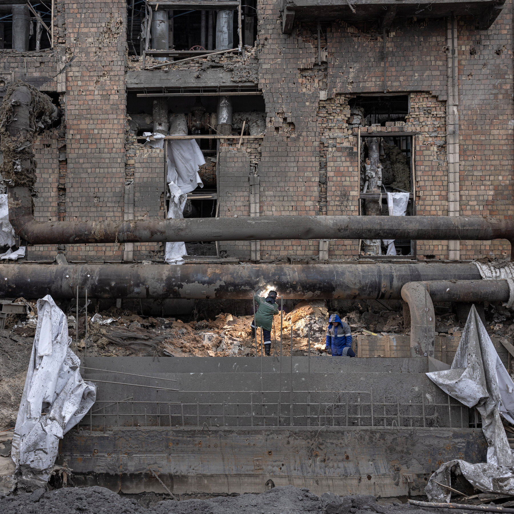 The Human Cost of War