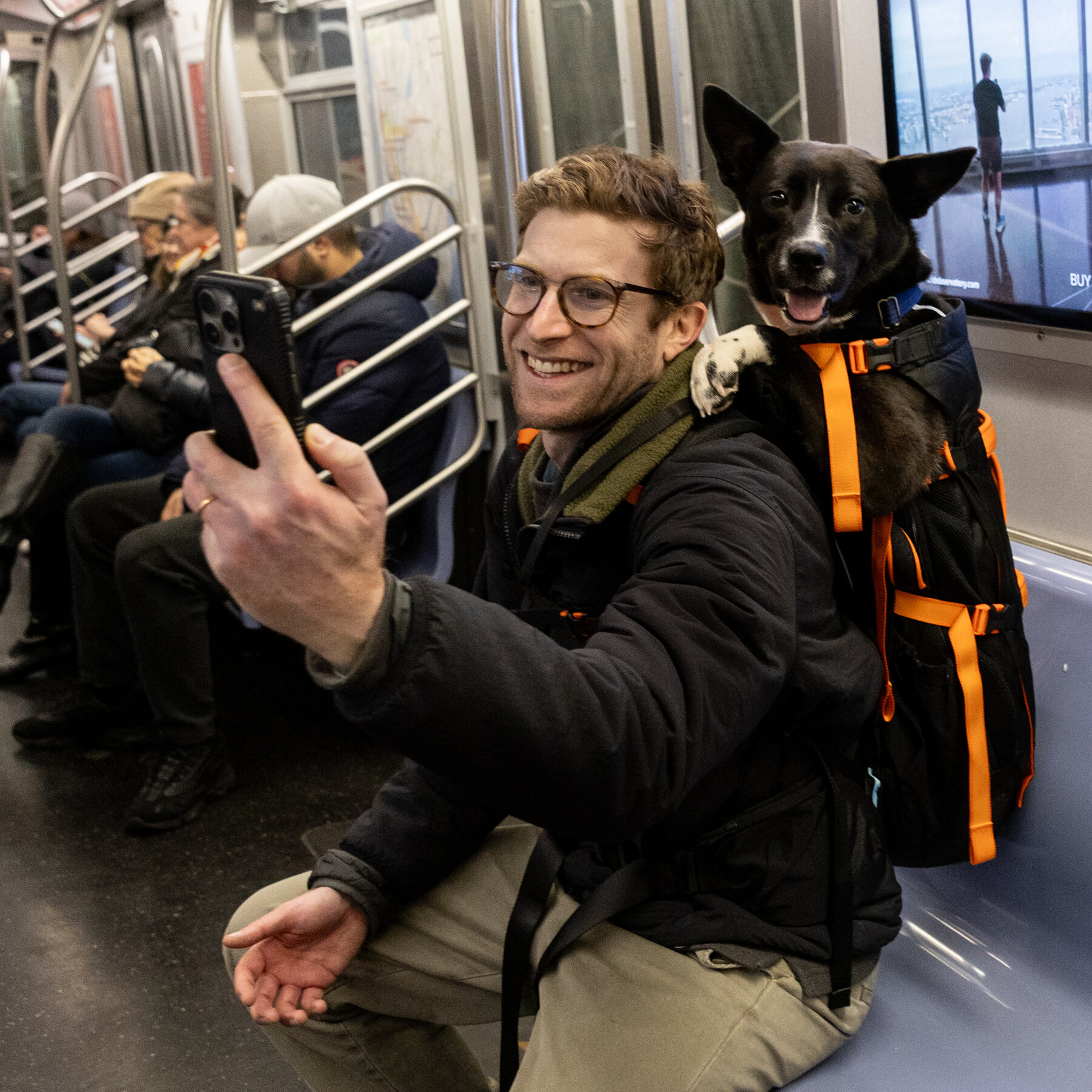 Carrying for a Cause: Meet the Man Lugging Shelter Dogs Around New York