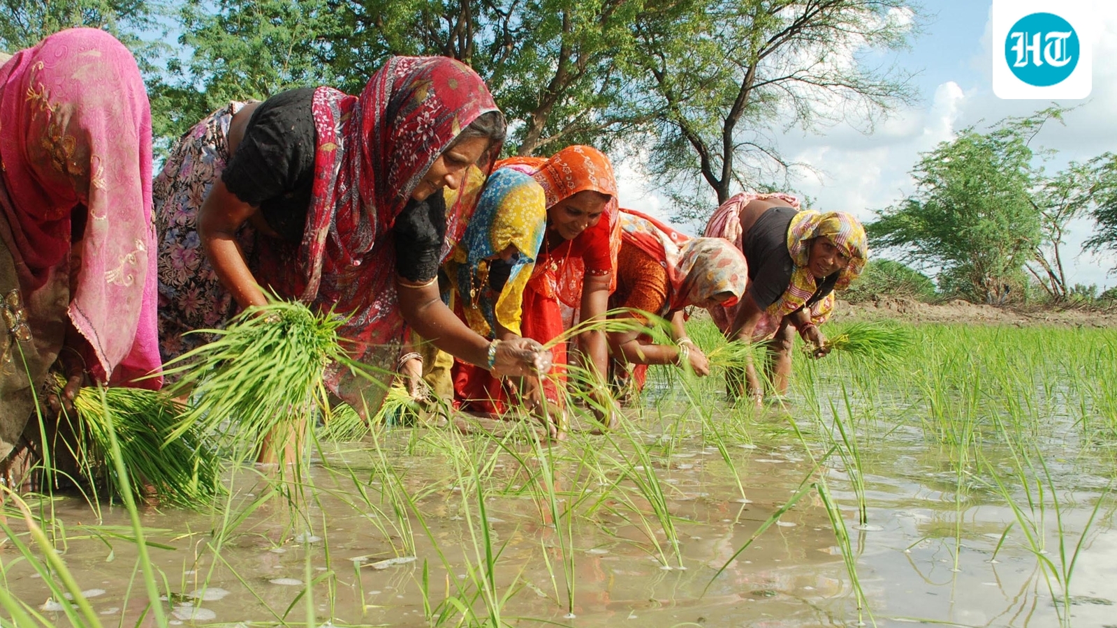 Kharif sowing trails last year’s pace despite rainfall revival in early July