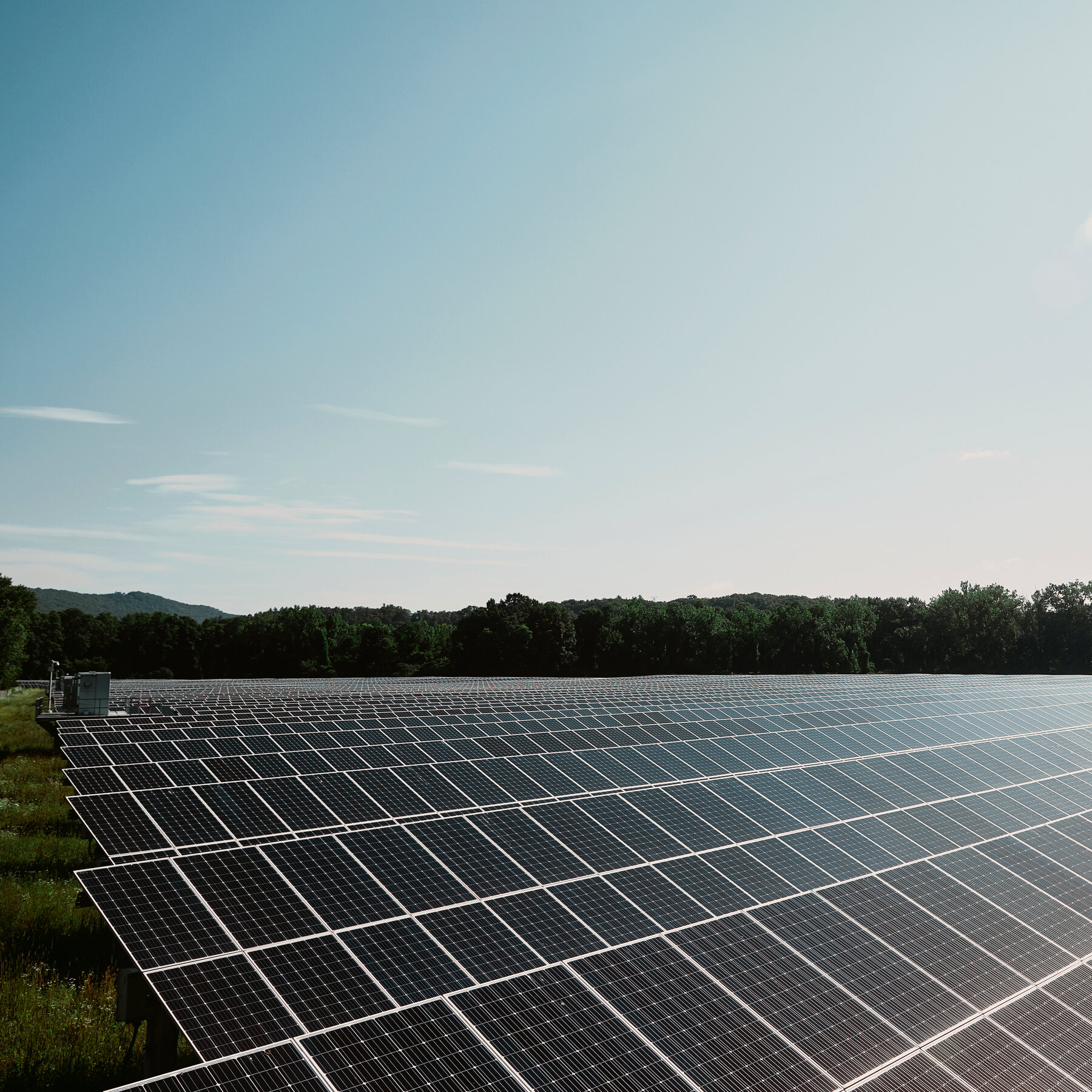 Trump Administration Is Delaying Hundreds of Wind and Solar Projects