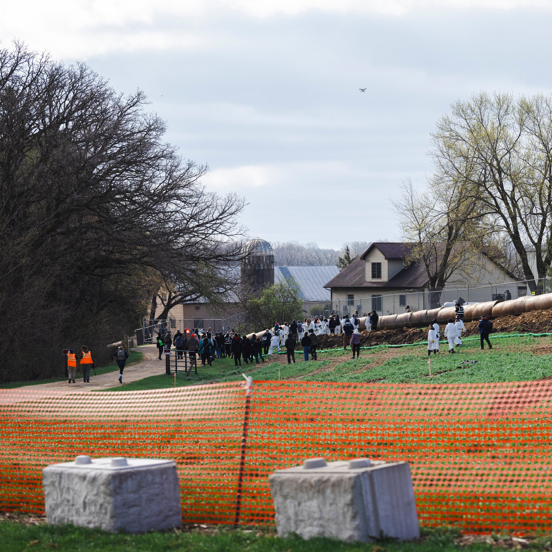 1,500 Beagles From Ridglan Farms in Wisconsin Are Getting New Homes