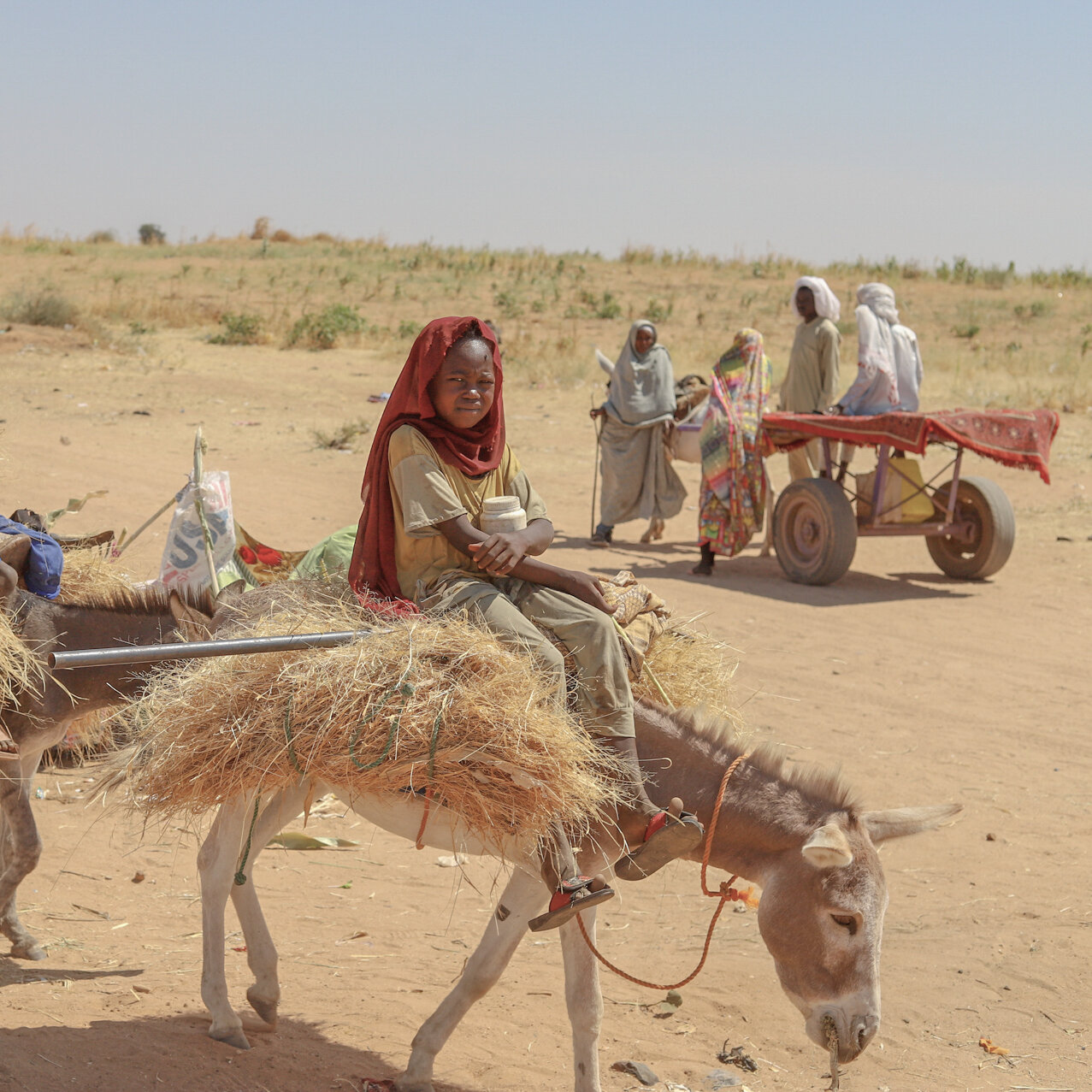 Sudan Is in Free Fall