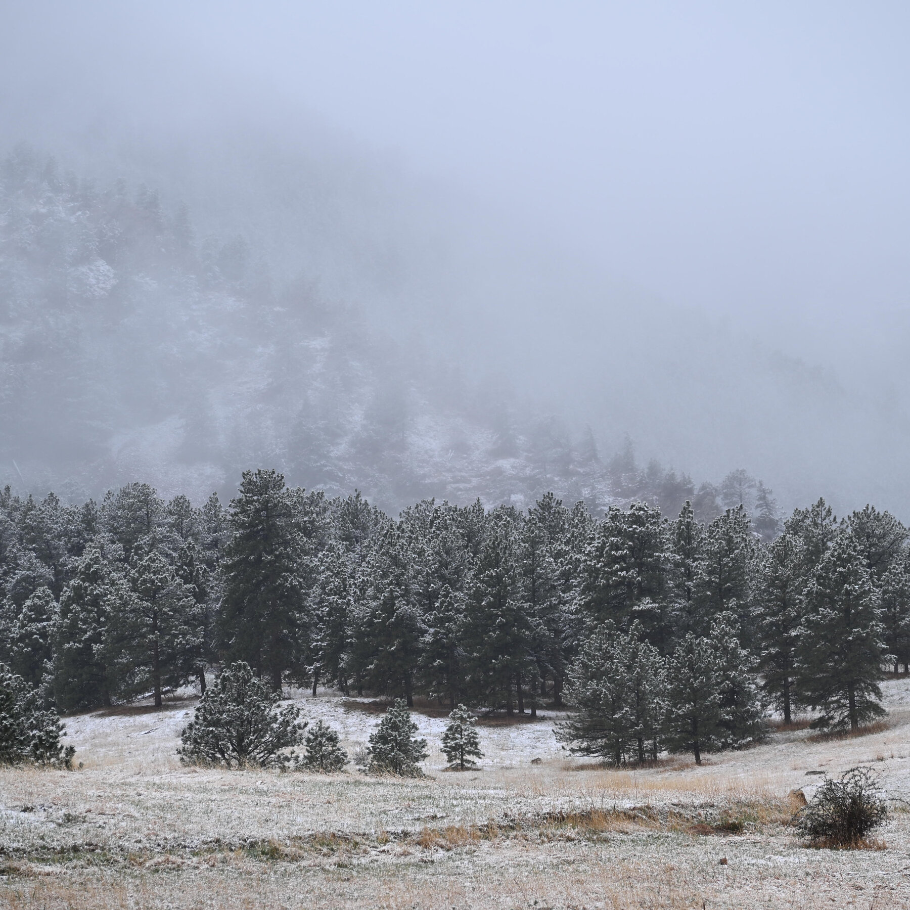 Colorado Snowstorm In May Could Be Its Biggest This Season