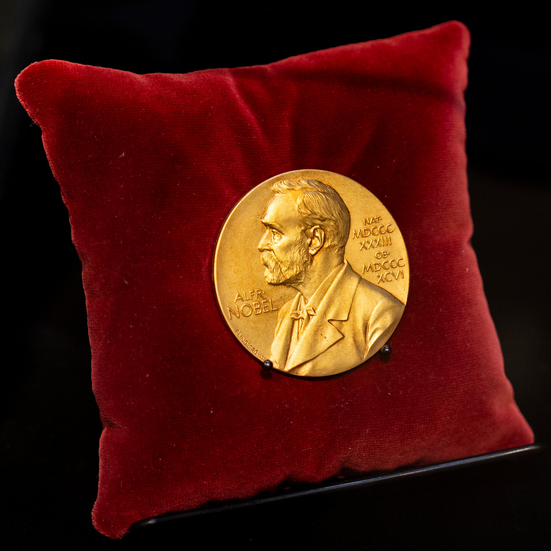 Nobel Prize in Physiology or Medicine Is Awarded for Work on Immune Systems