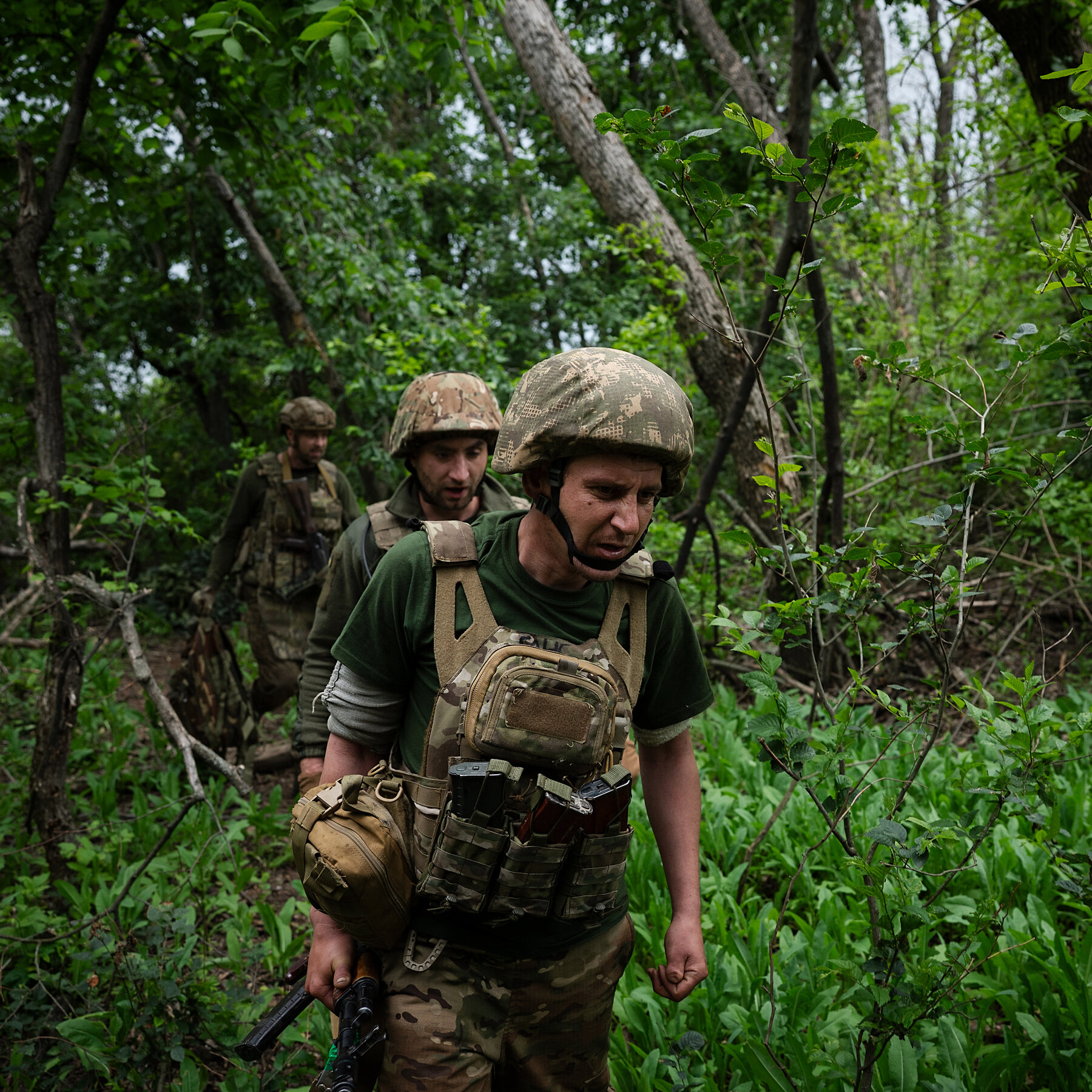 Why Trees Are Key to Russia’s Spring Offensive in Ukraine