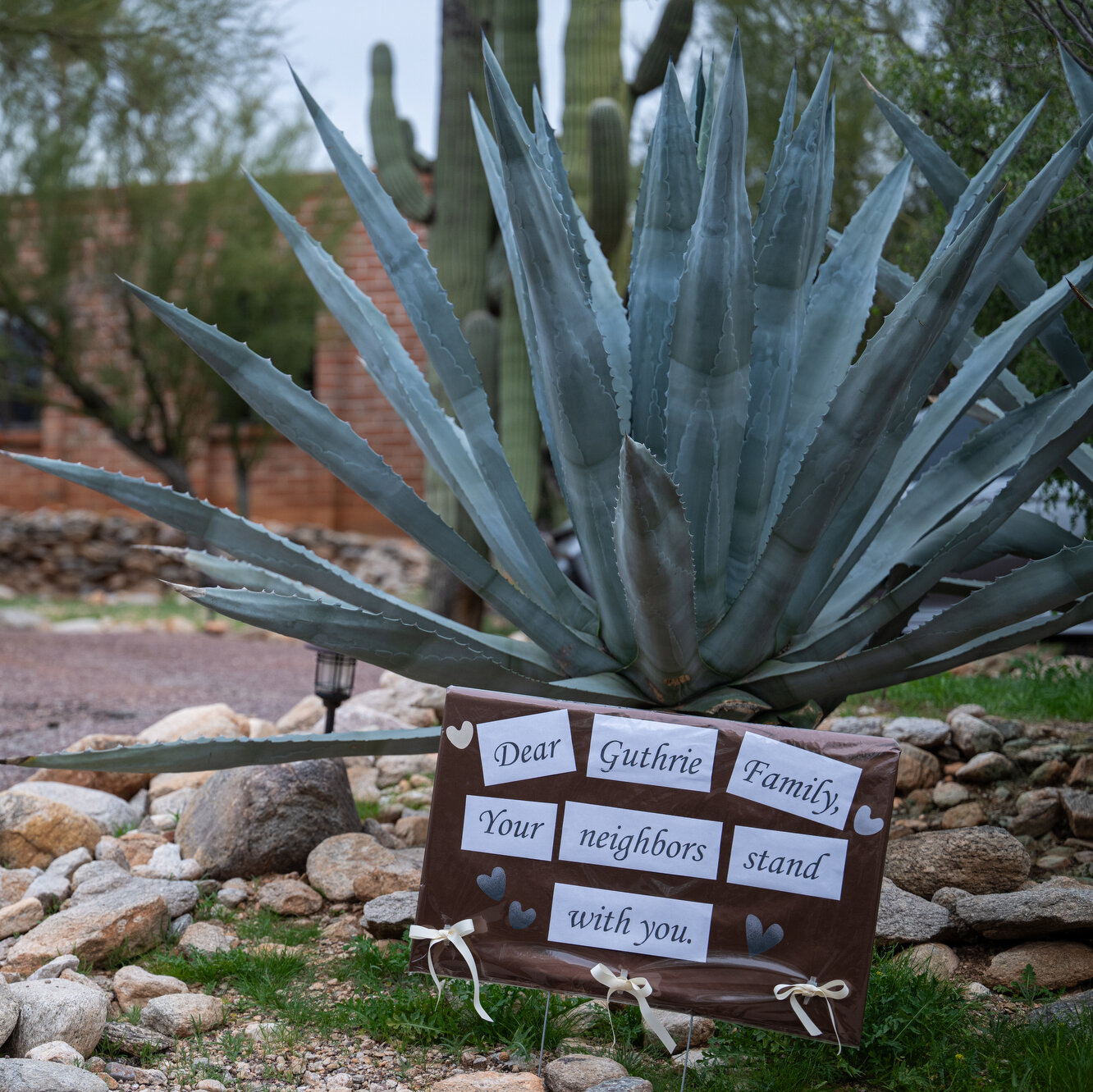 Savannah Guthrie’s Brother Renews Plea for Return of Their Missing Mother, Nancy