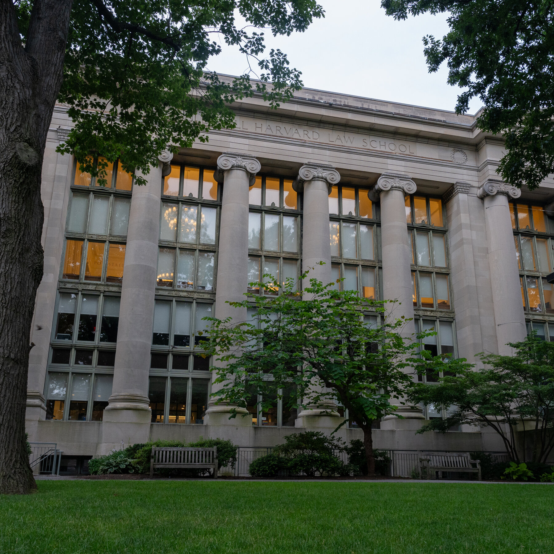 A Harvard Professor Is Placed on Leave After Firing a Pellet Gun