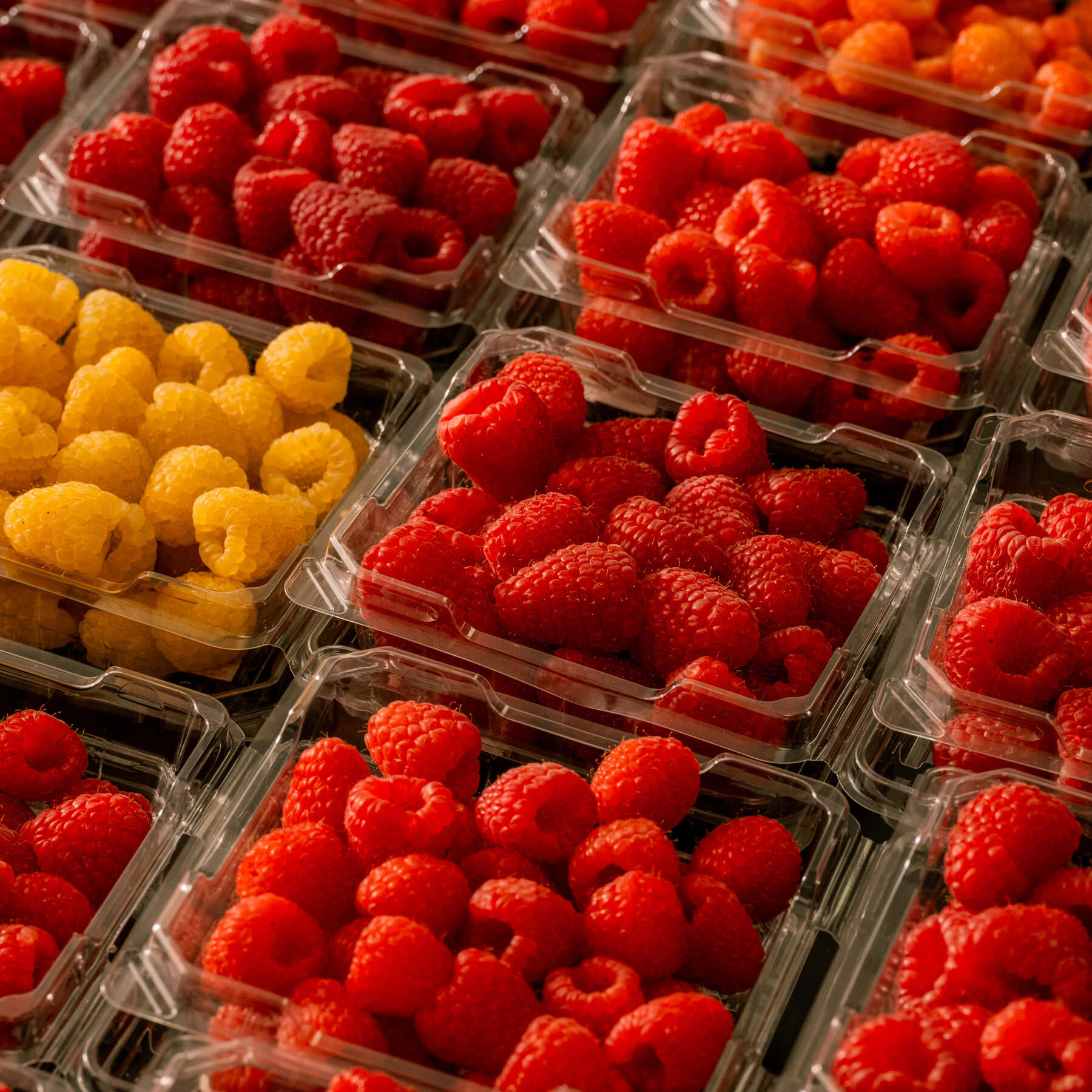 Why Are Berries Everywhere, in Every Season? Driscoll’s.