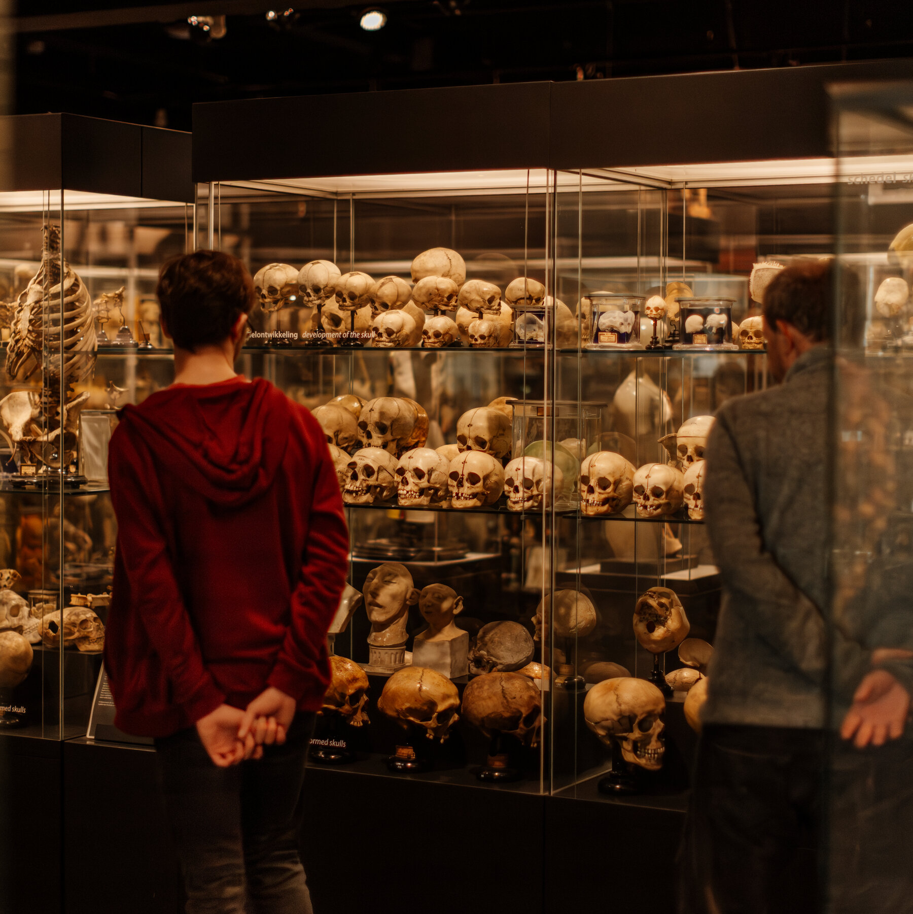 Europe’s Museums Confront the (Literal) Skeletons in Their Closets