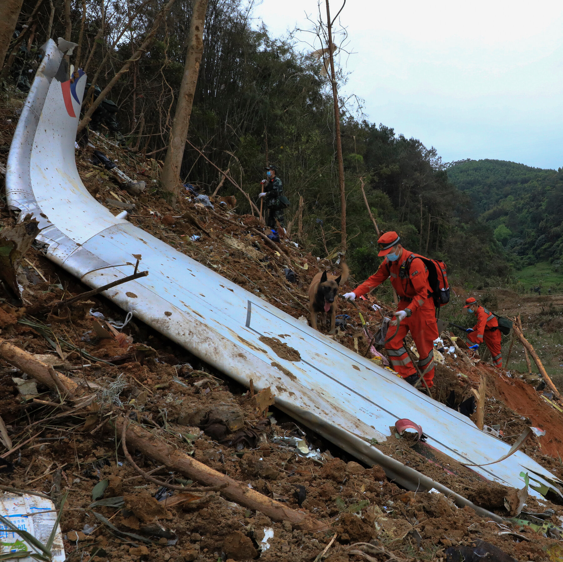 New NTSB Report Into Deadly China Eastern Crash Suggests Struggle in Cockpit