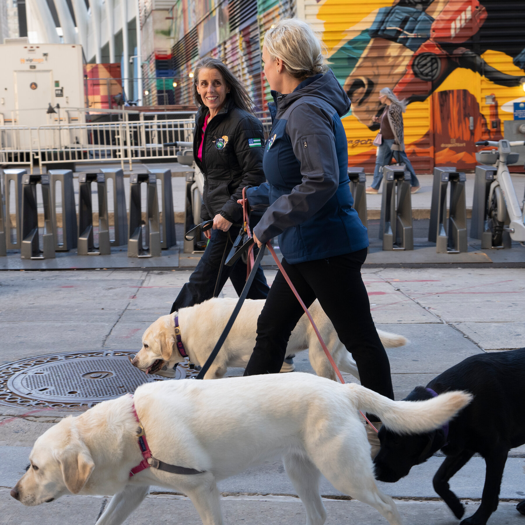 Will the N.Y.P.D. Push Its Therapy Dogs Into Early Retirement?