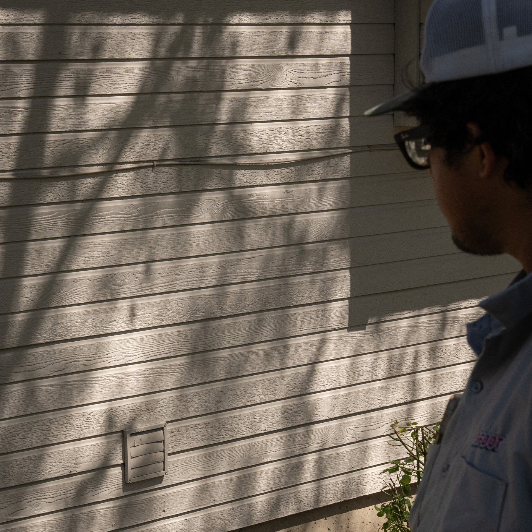 In Idaho’s Suburbs, a Rat Invasion Tests the Limits of Small Government