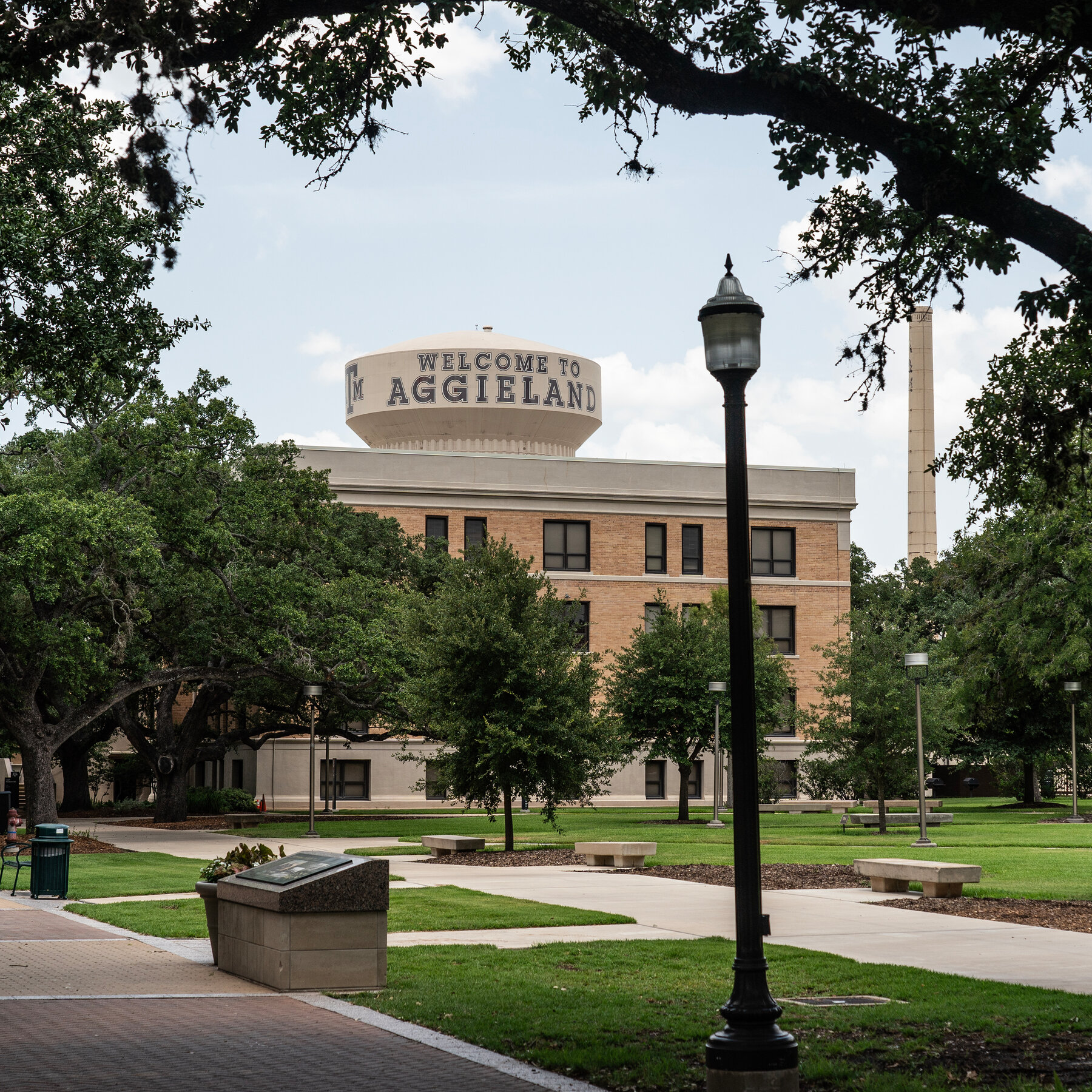 Texas A&M Warns Professor Not to Teach Plato Because of Gender Rules