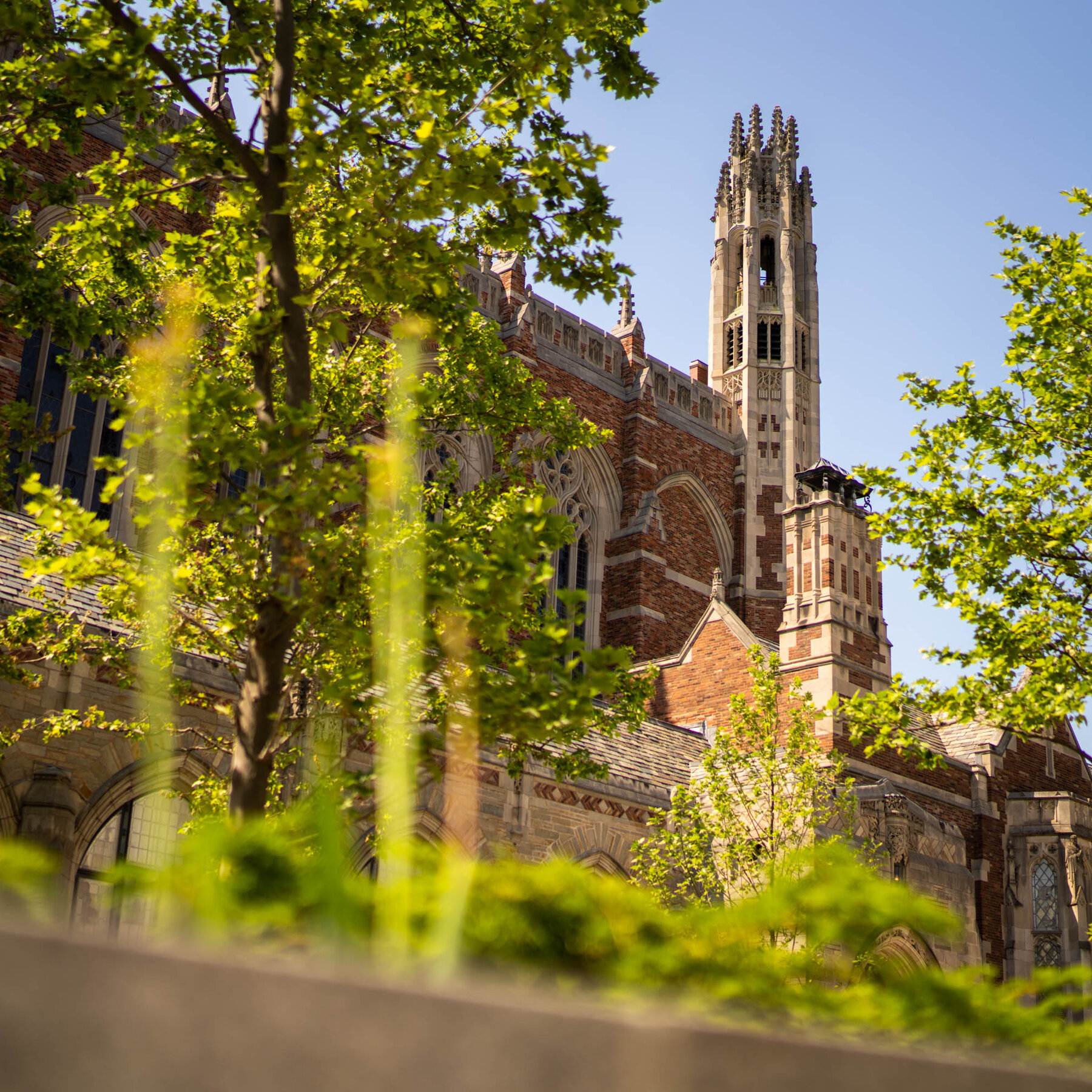Yale Law School Fights to Stop Trump Deal