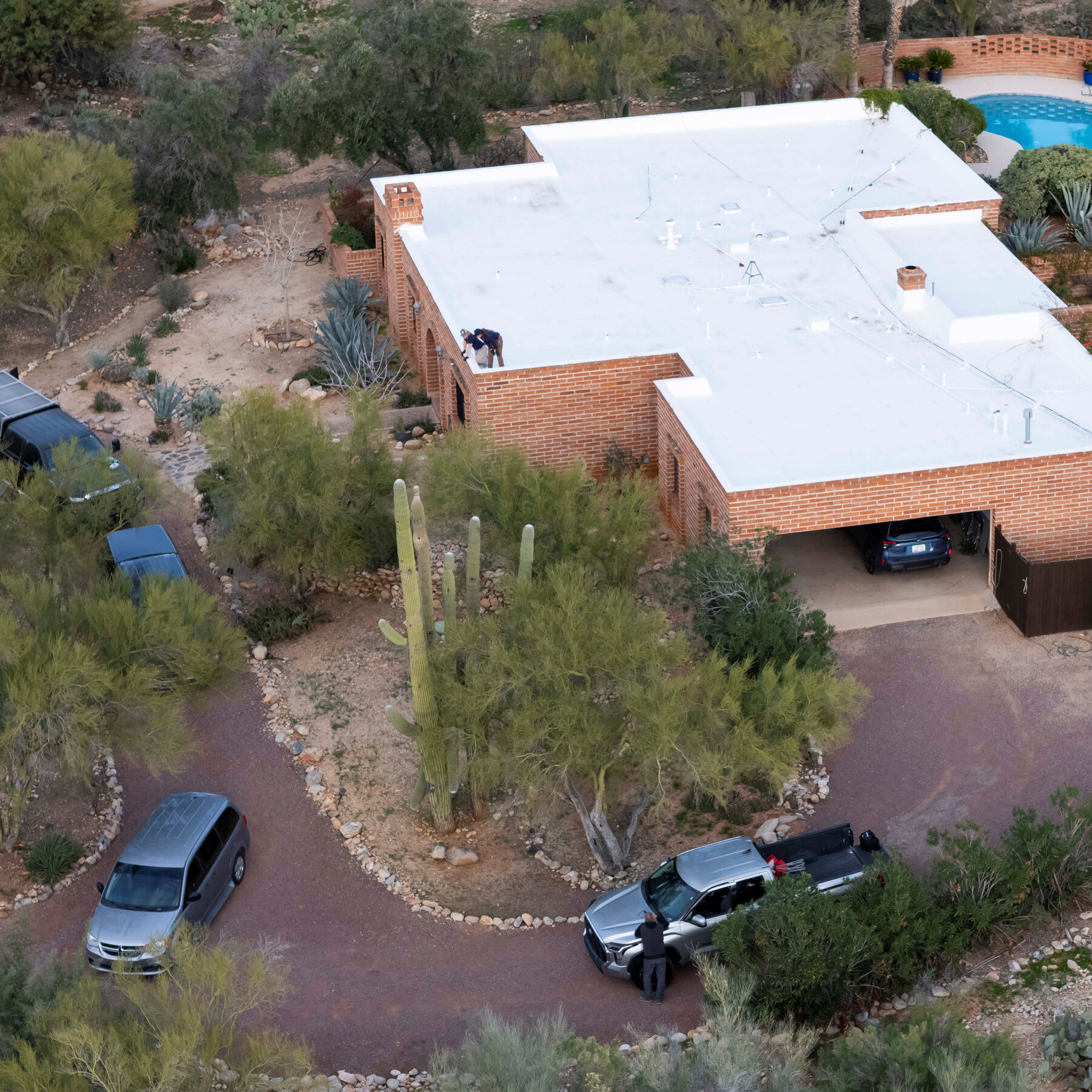 7 Days, No Suspects: The Disappearance of Nancy Guthrie