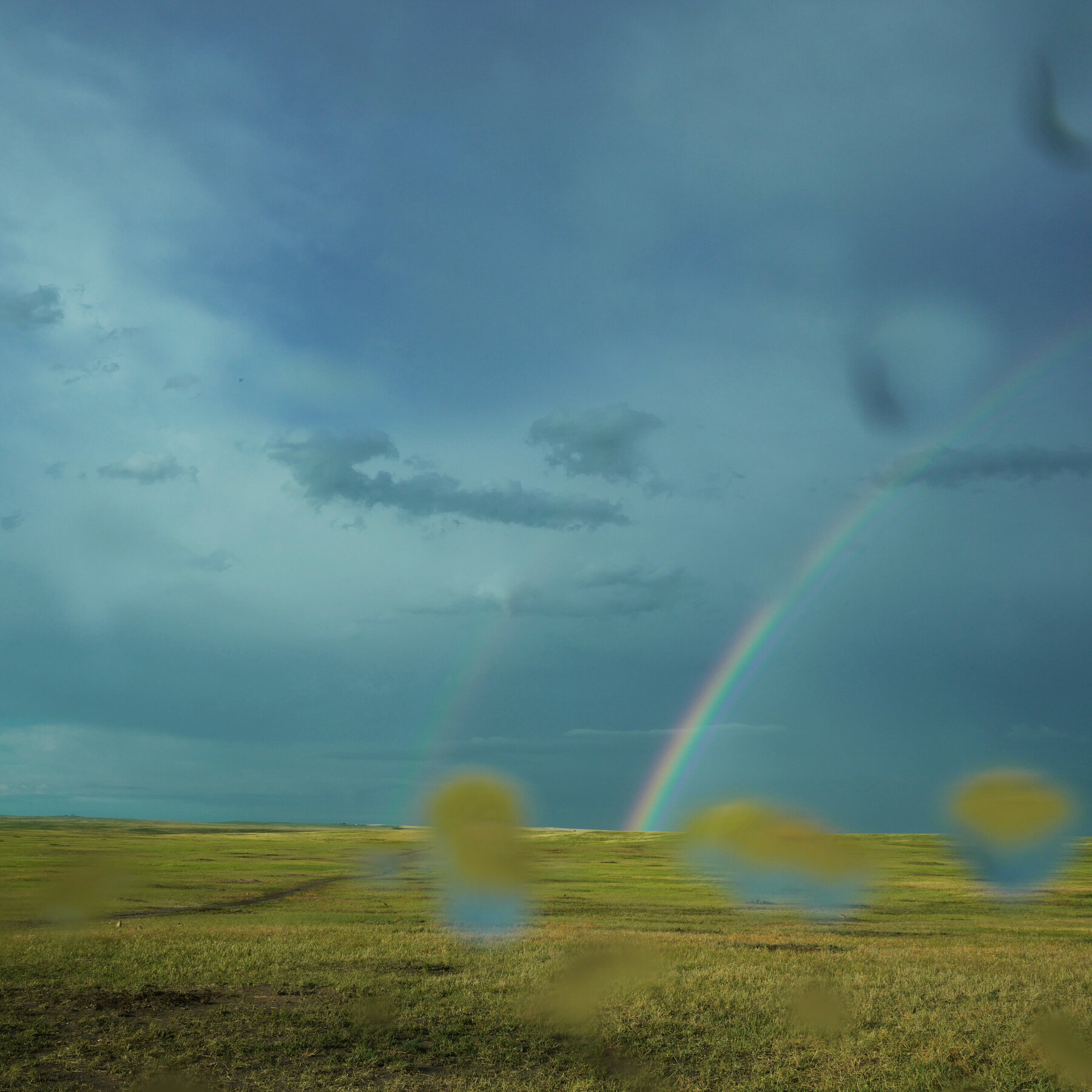 The Badlands Hold Me as I Grieve