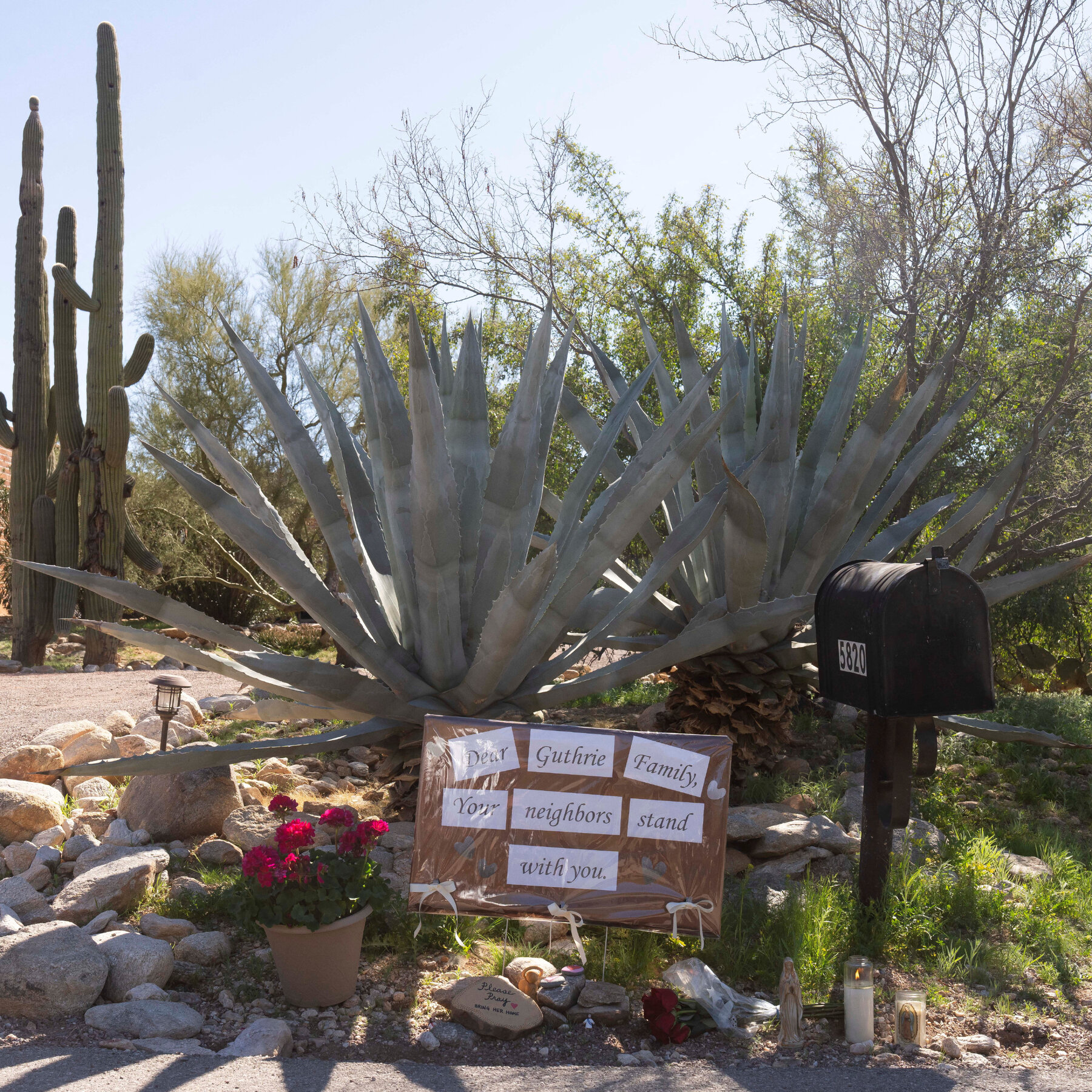 Savannah Guthrie Says, ‘We Believe Our Mom Is Still Out There’