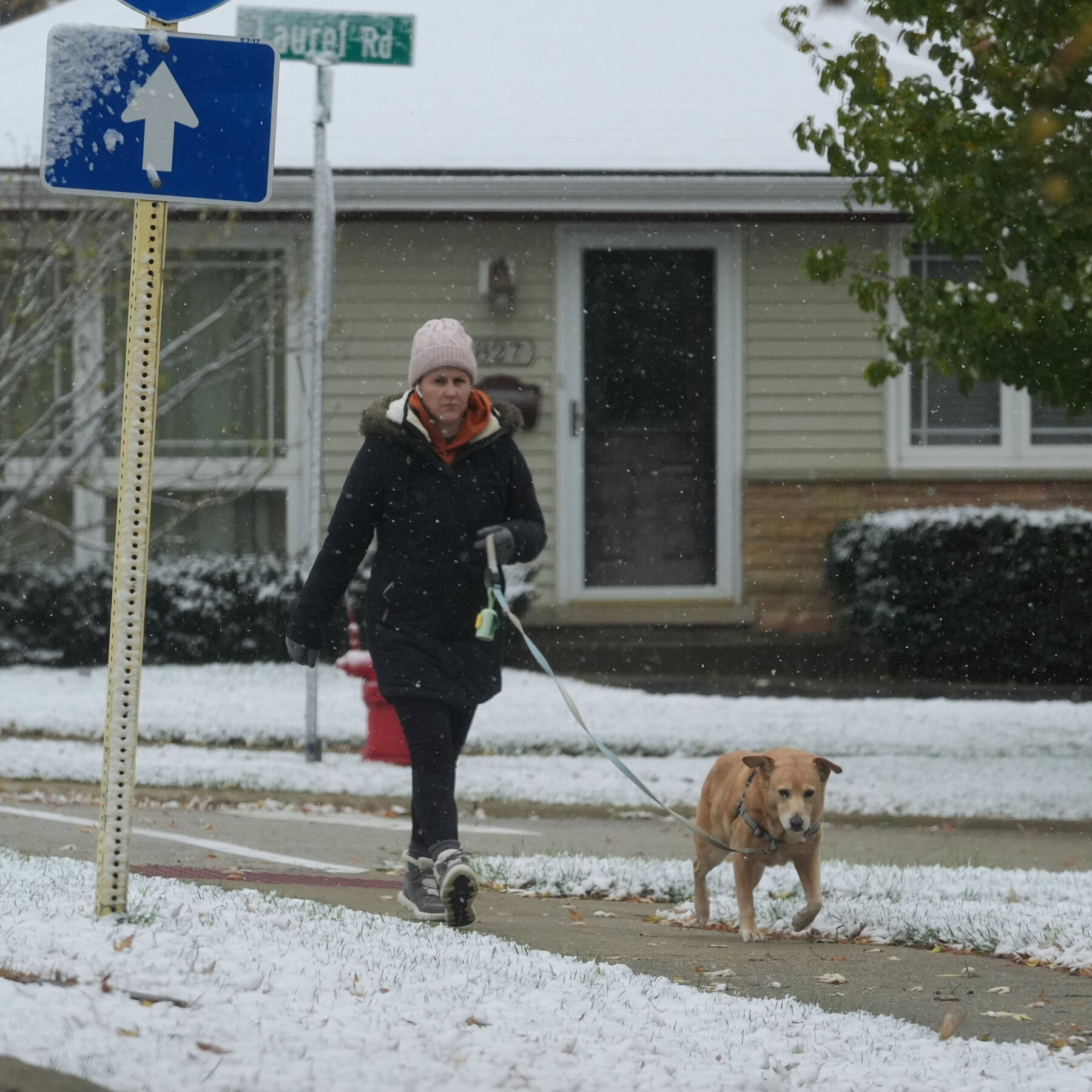 Arctic Blast Is Sweeping East, Bringing First Snow of the Season