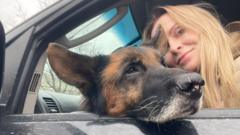 'Animals are traumatised too': Pet rescuers under fire in Ukraine