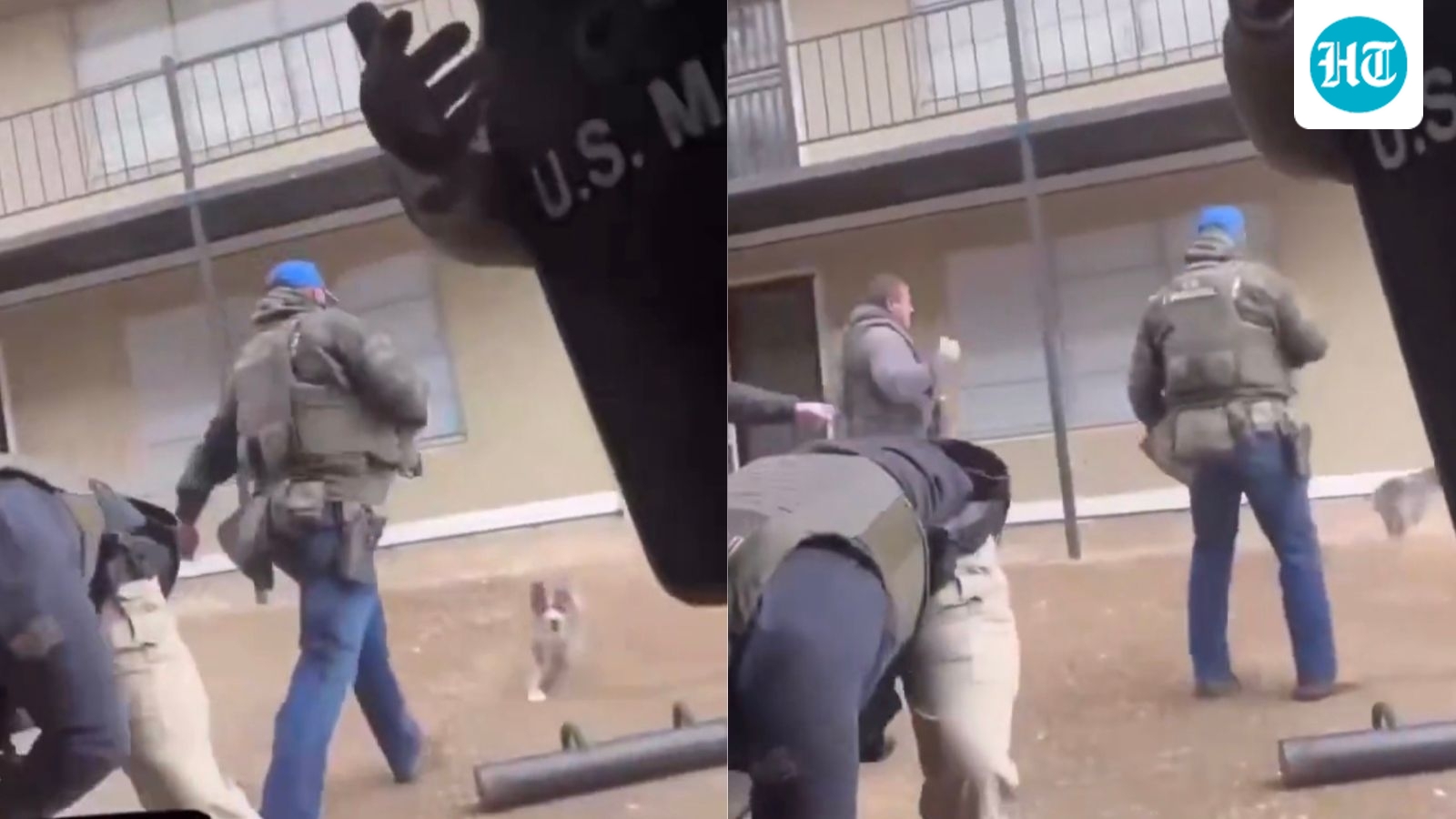 US Marshals defend agent seen kicking dog in Memphis after video goes viral: ‘Not done with malice’