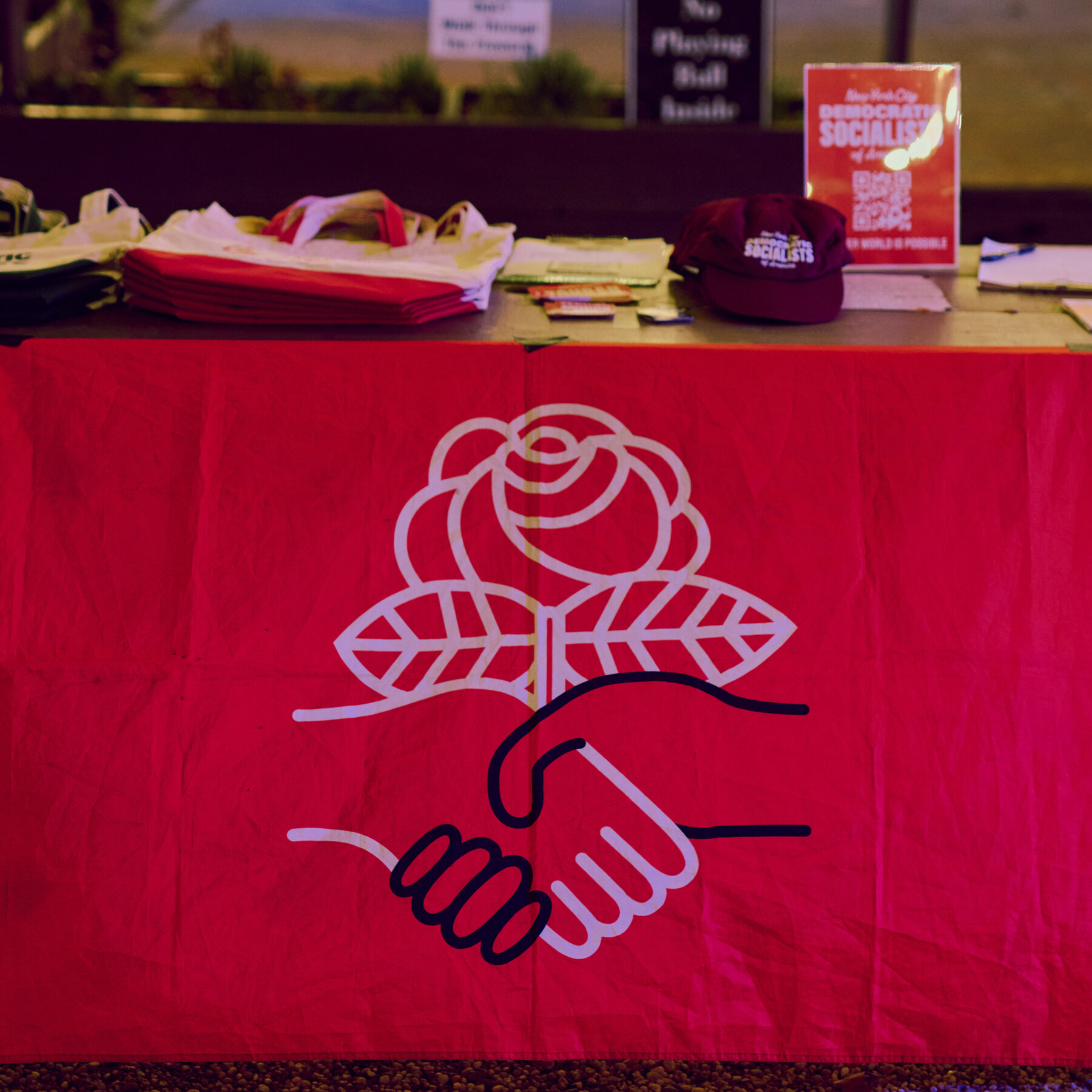 Democratic Socialists Win Court Battle as Elections Near