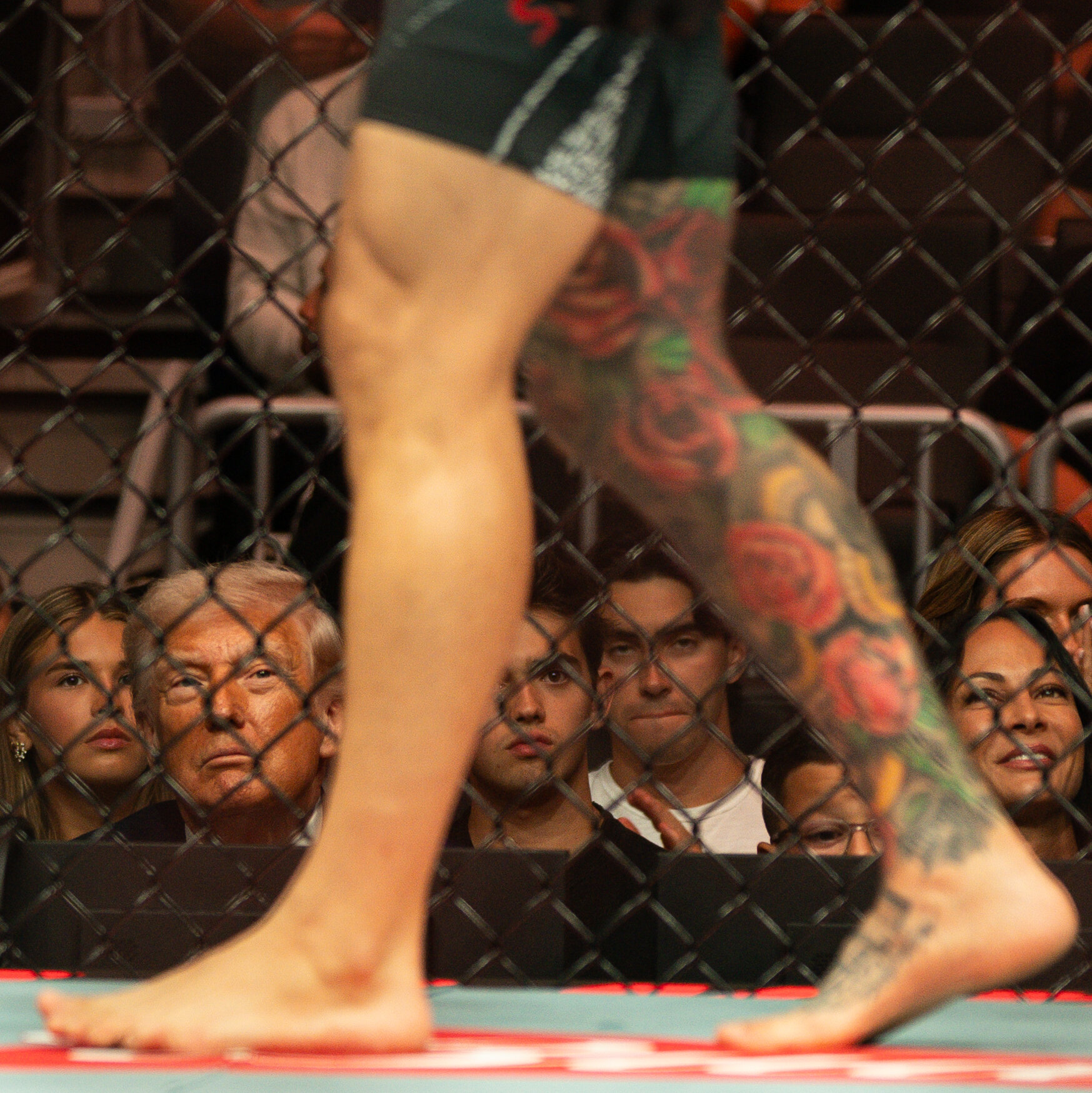 Trump Was Watching a U.F.C. Fight in Miami While Iran Talks Collapsed