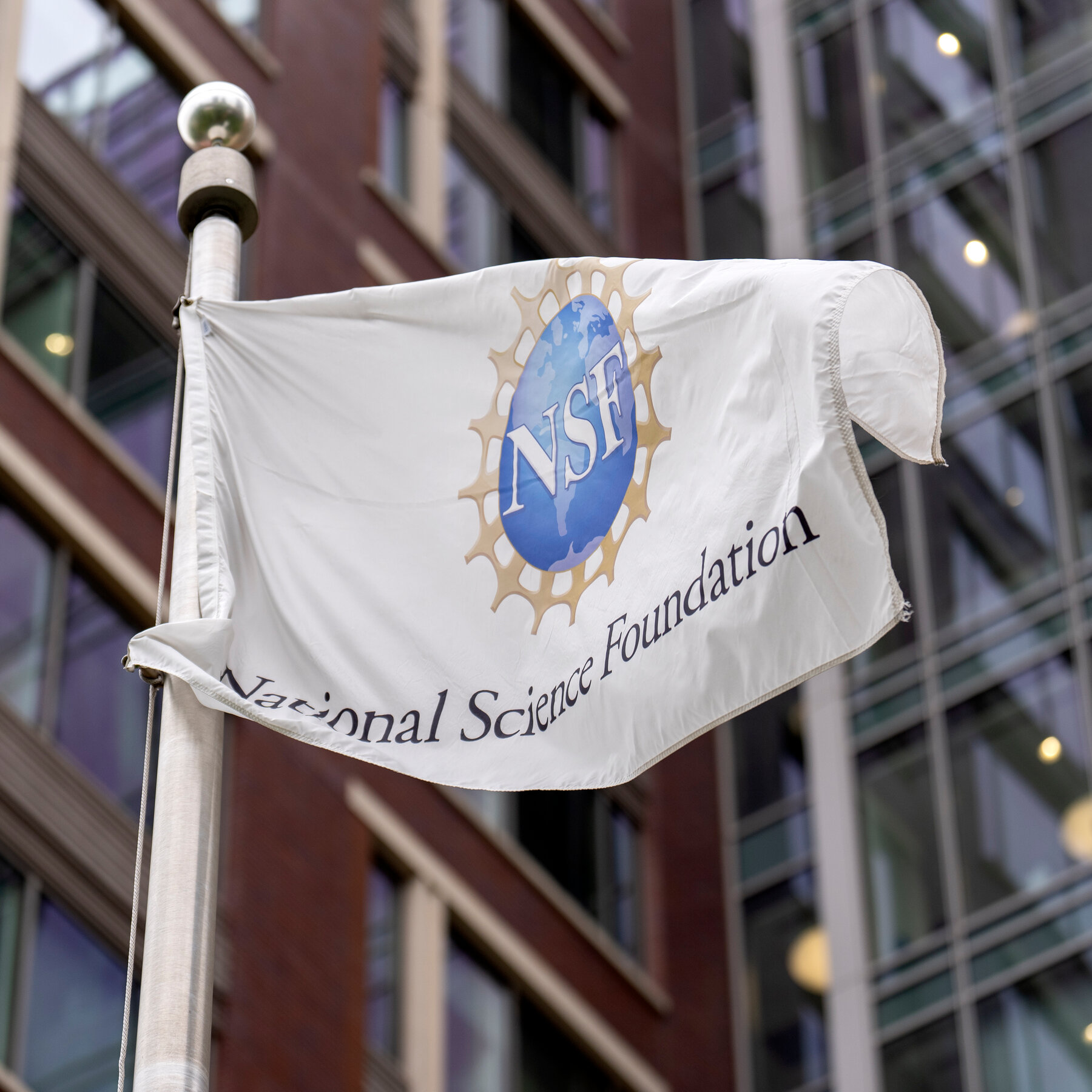 Scientists Press Congress on Dismissal of National Science Foundation Board and Research Funding