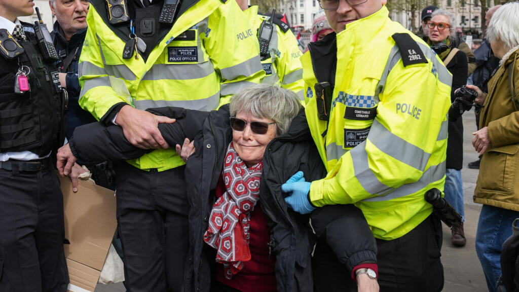 More than 500 people arrested at Palestine Action rally in London