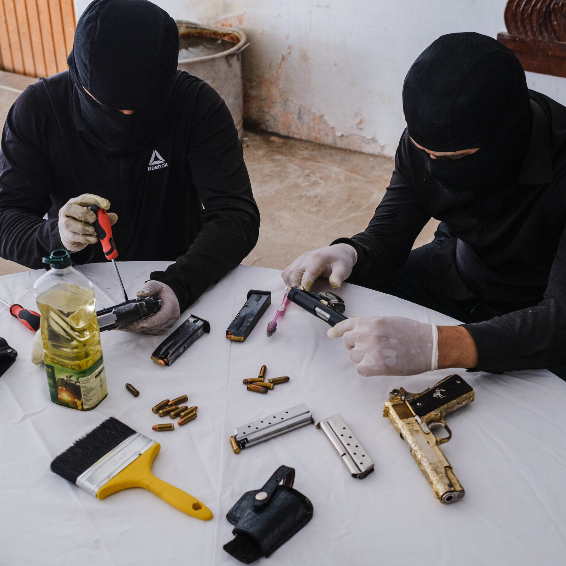 How a Drug Cartel Made a Mexican State Its Tool