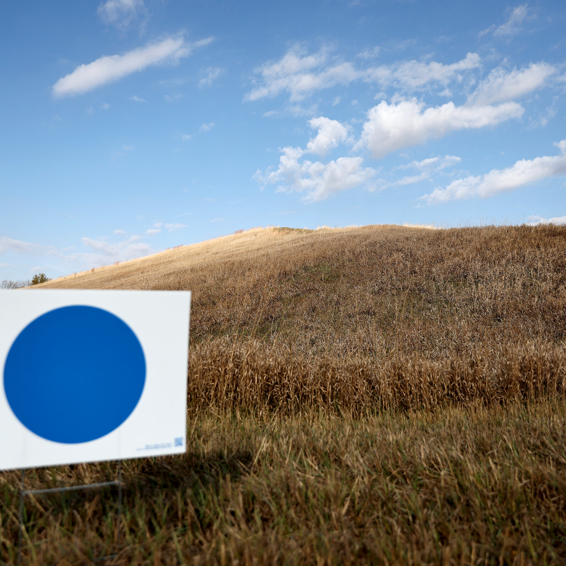 What to Watch in Tuesday’s Primaries in Nebraska and West Virginia